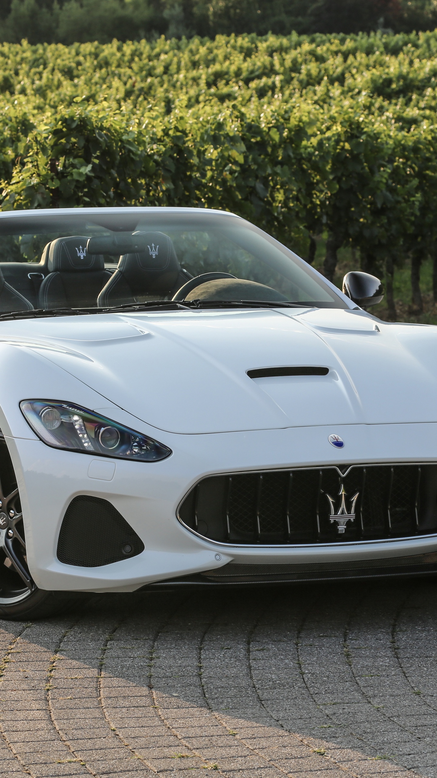 Спорткары Maserati