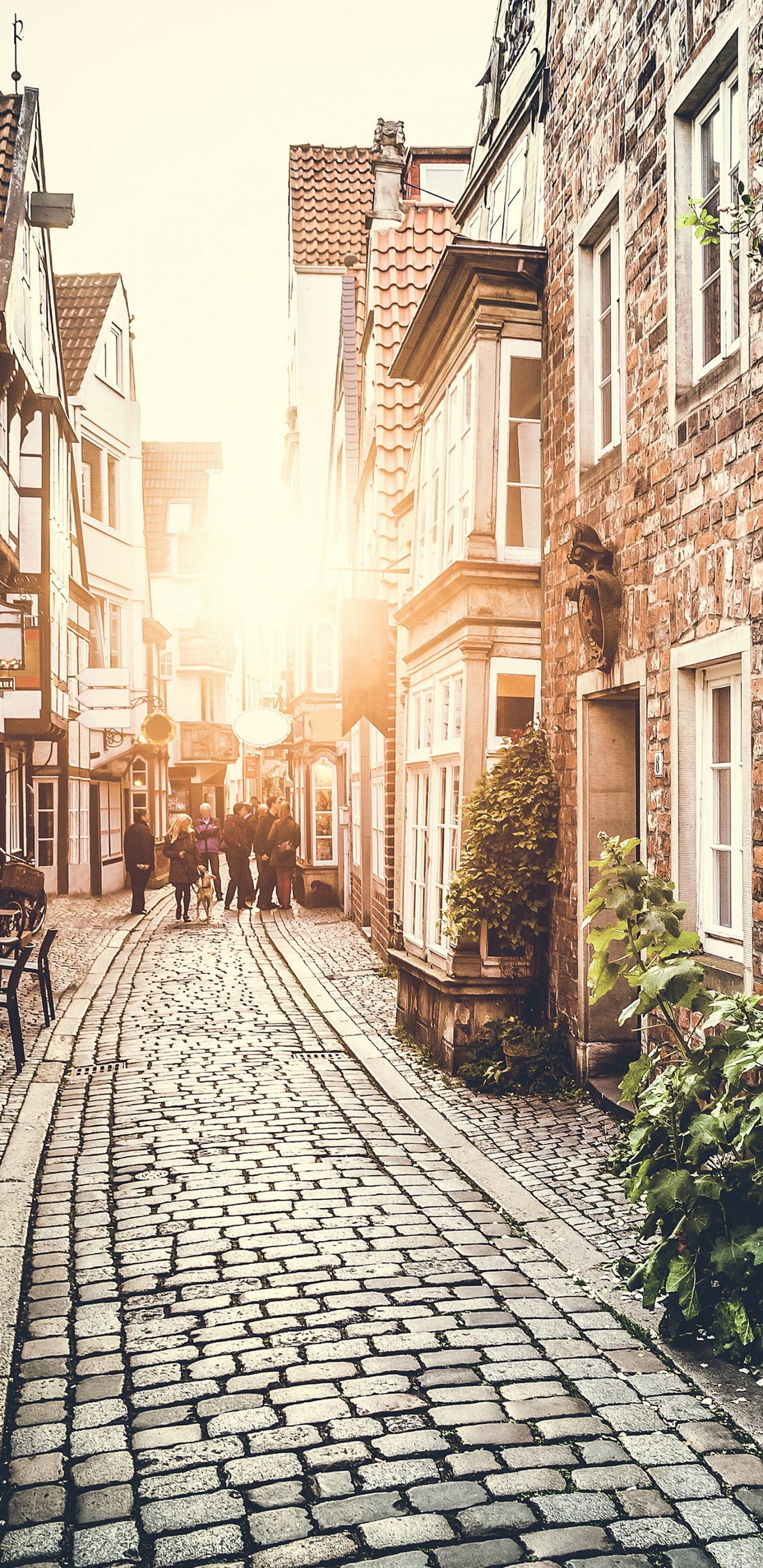 Фон города нью йорк улицы. Нью йорк 61 улица. Улица города. Улицы городов статьи. Улица города днем.