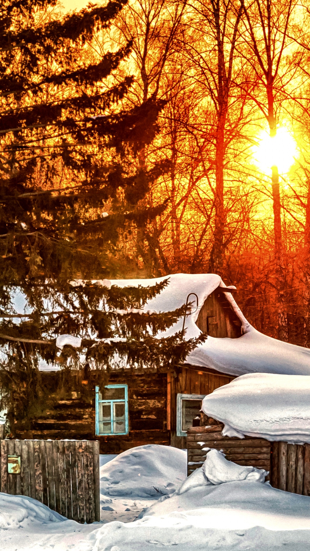 Дом в лесу зима солнце