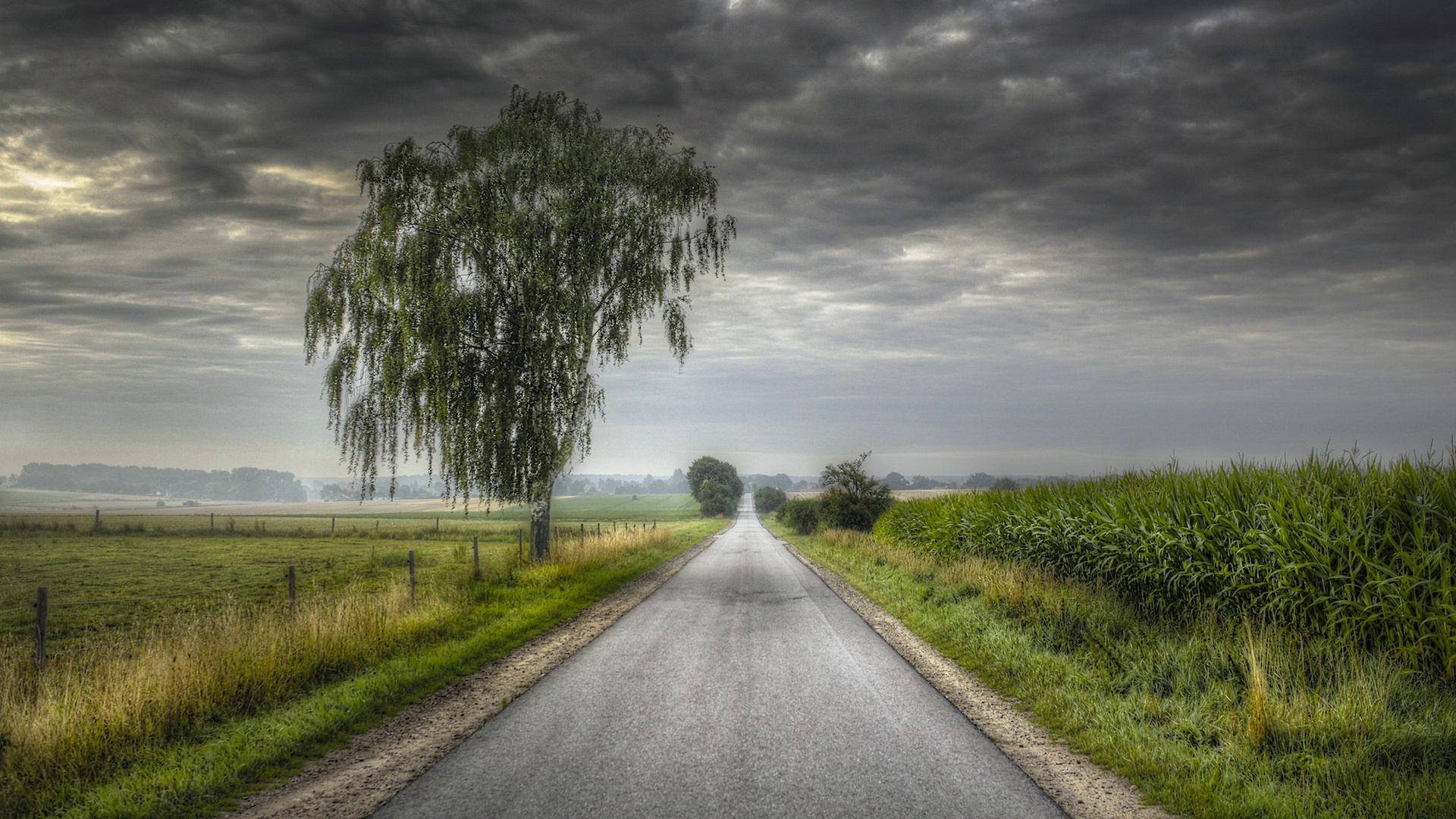 Дорога в рай фото