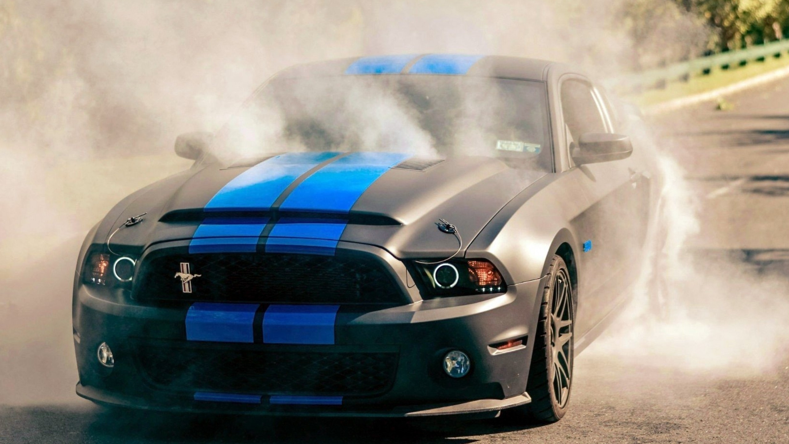 Ford Mustang gt РІ РѕРіРЅРµ