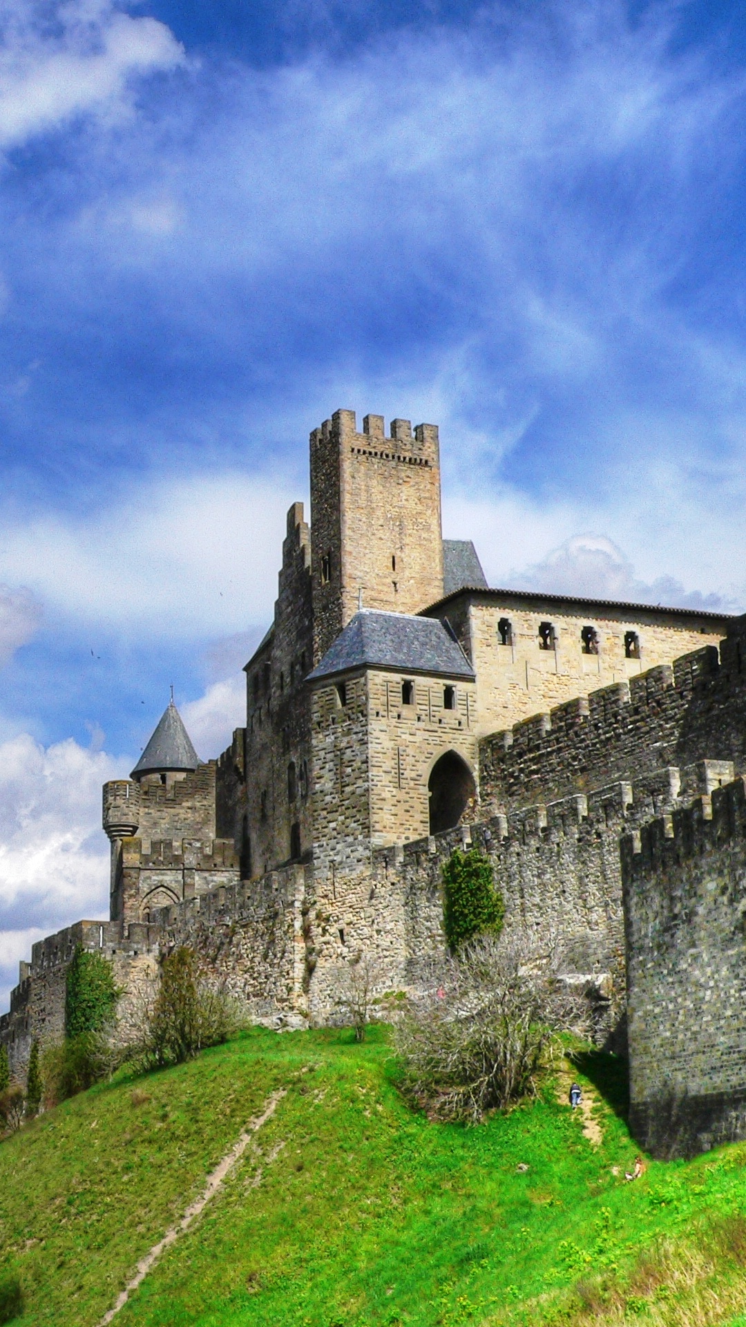 Замки 6 века. Крепость Каркассон. Carcassonne Cathedral Каркасон. Замки Европы в средневековье. Крепость Геден Франция.