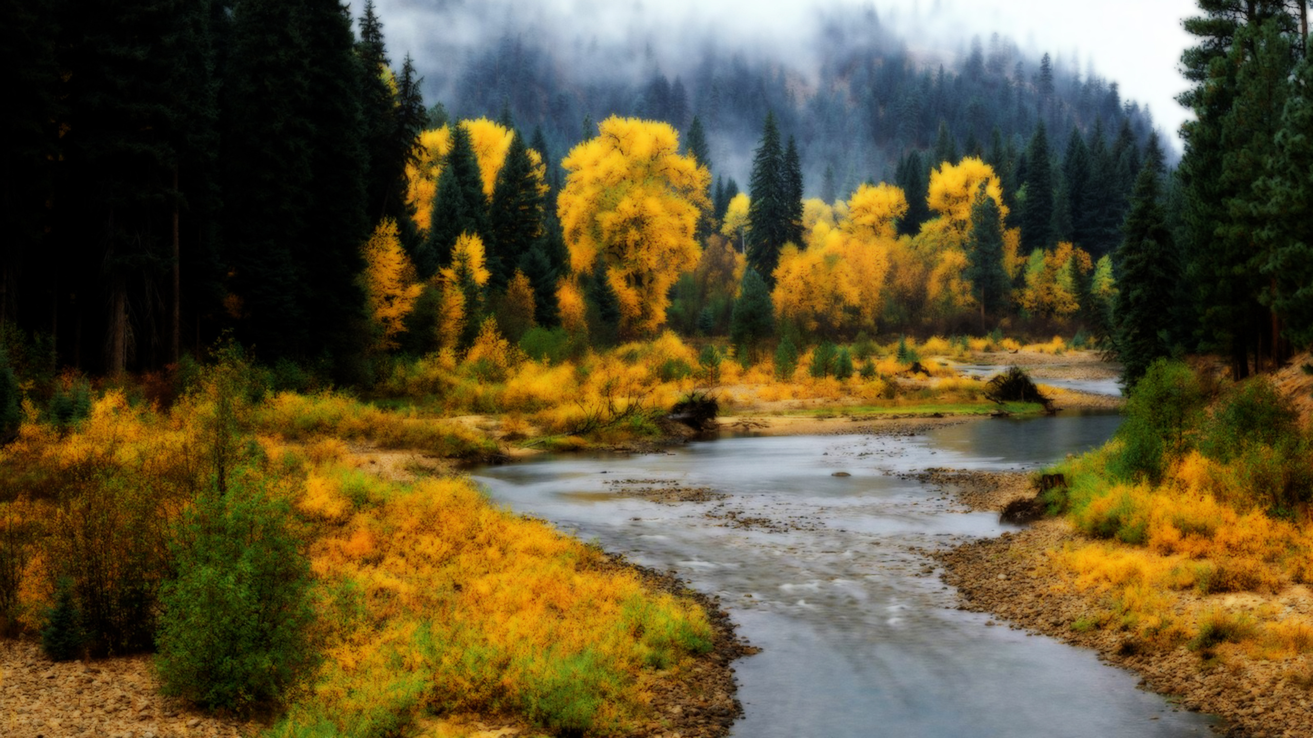 Лесные зоны воды. Природа тайги. Осень лес река. Природа Сибири осень. Природа Сибирь лес.