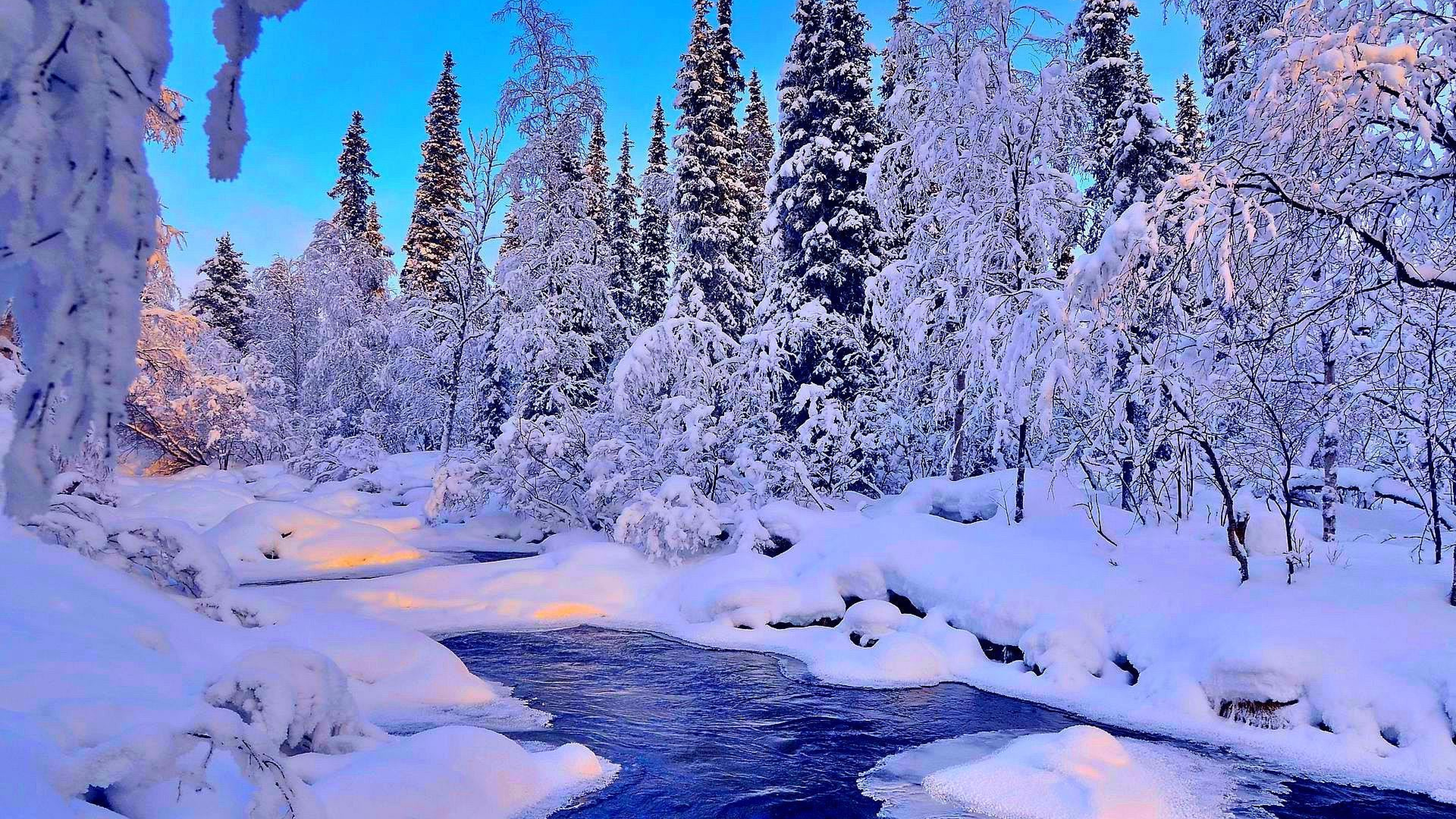 Best winter. Зимний лес. Зимние картинки на рабочий стол. Зимний лес на рабочий стол. Красивая природа зима.