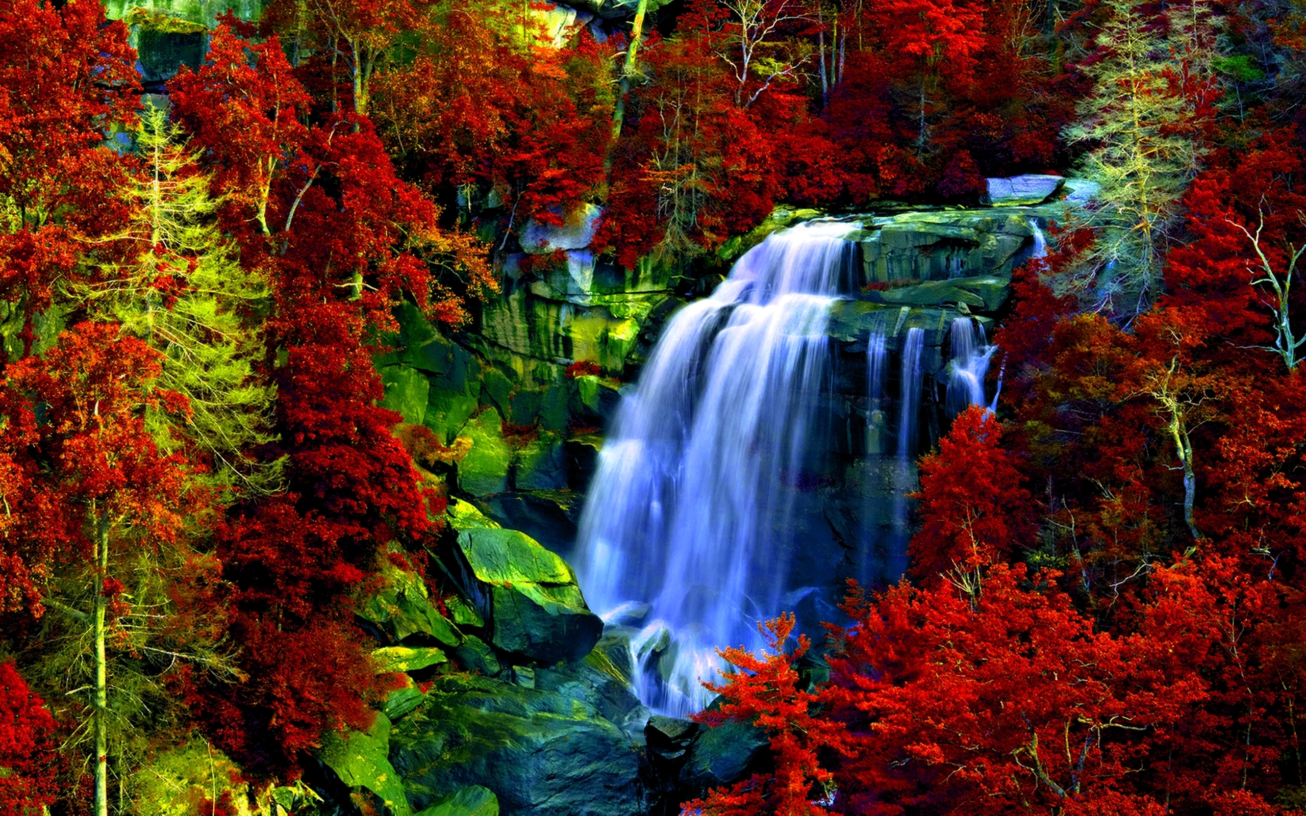Красиве видео. Табиат манзараси. Природа. Красивые водопады. Живая природа водопады.