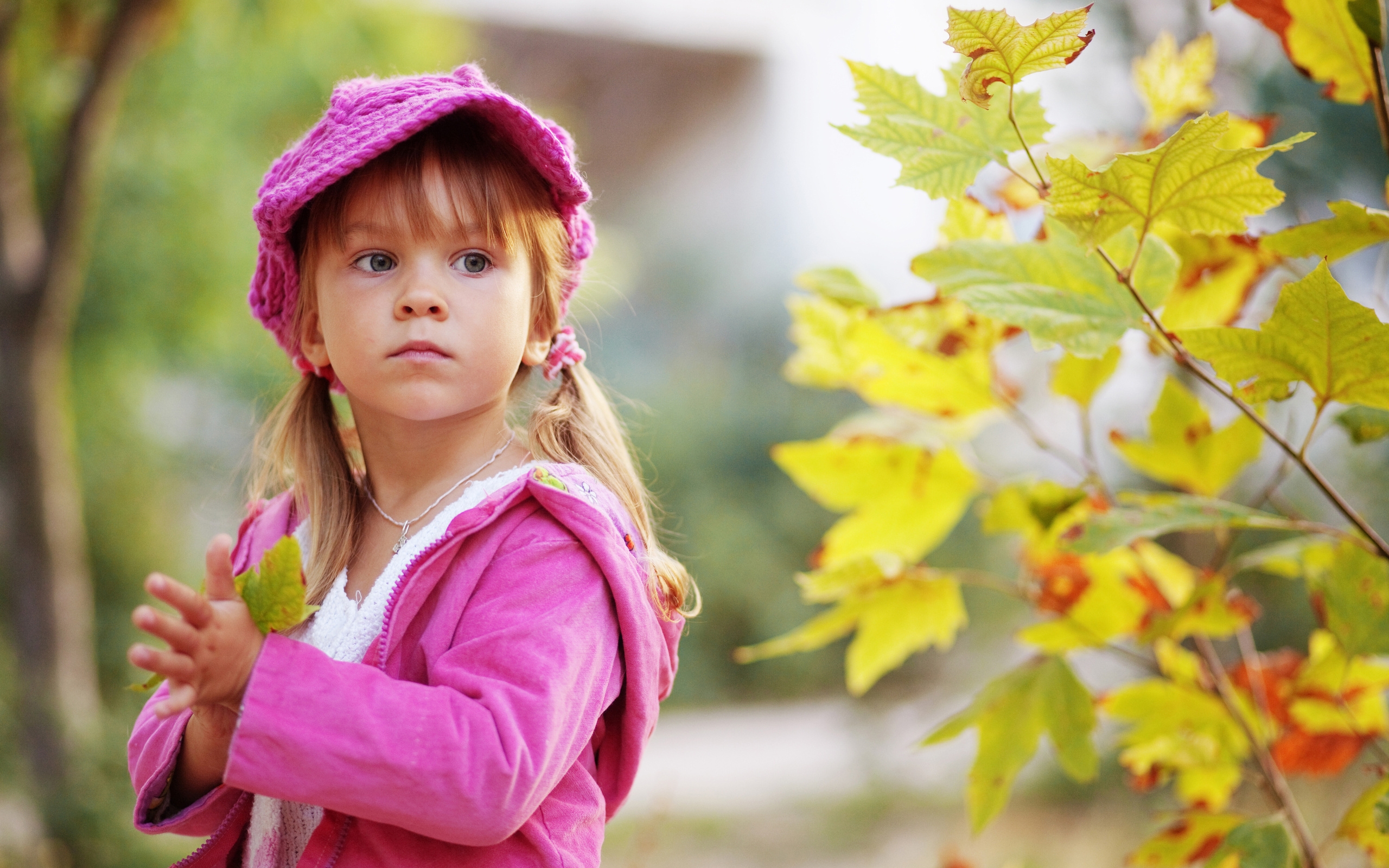 Обои ребенок, осень, розовый, дерево, малыш, фото, заставка 