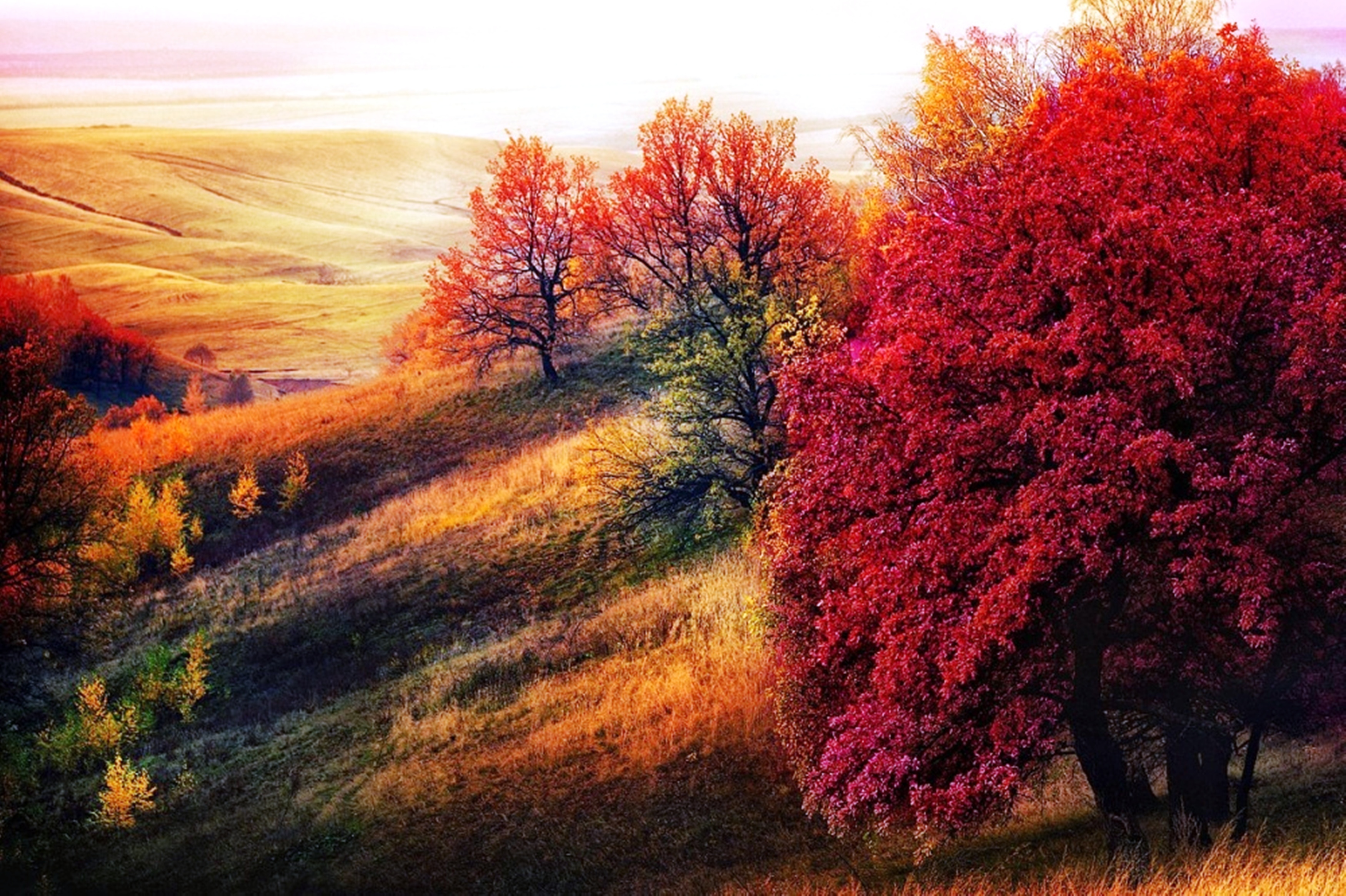 Осенний пейзаж. Красивая осень. Красота осени. Пейзаж. Природа осень.