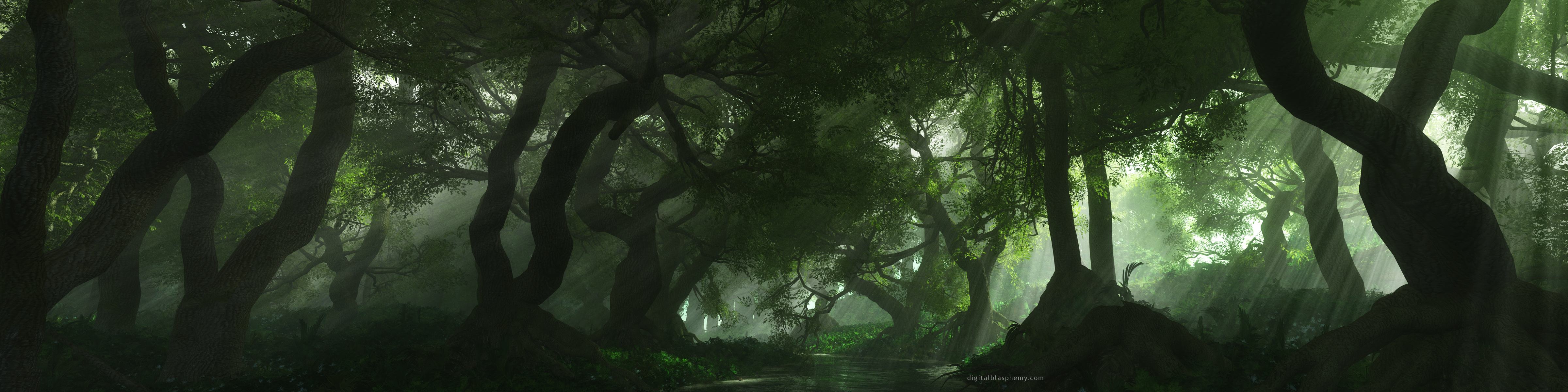 Страшный лес панорама