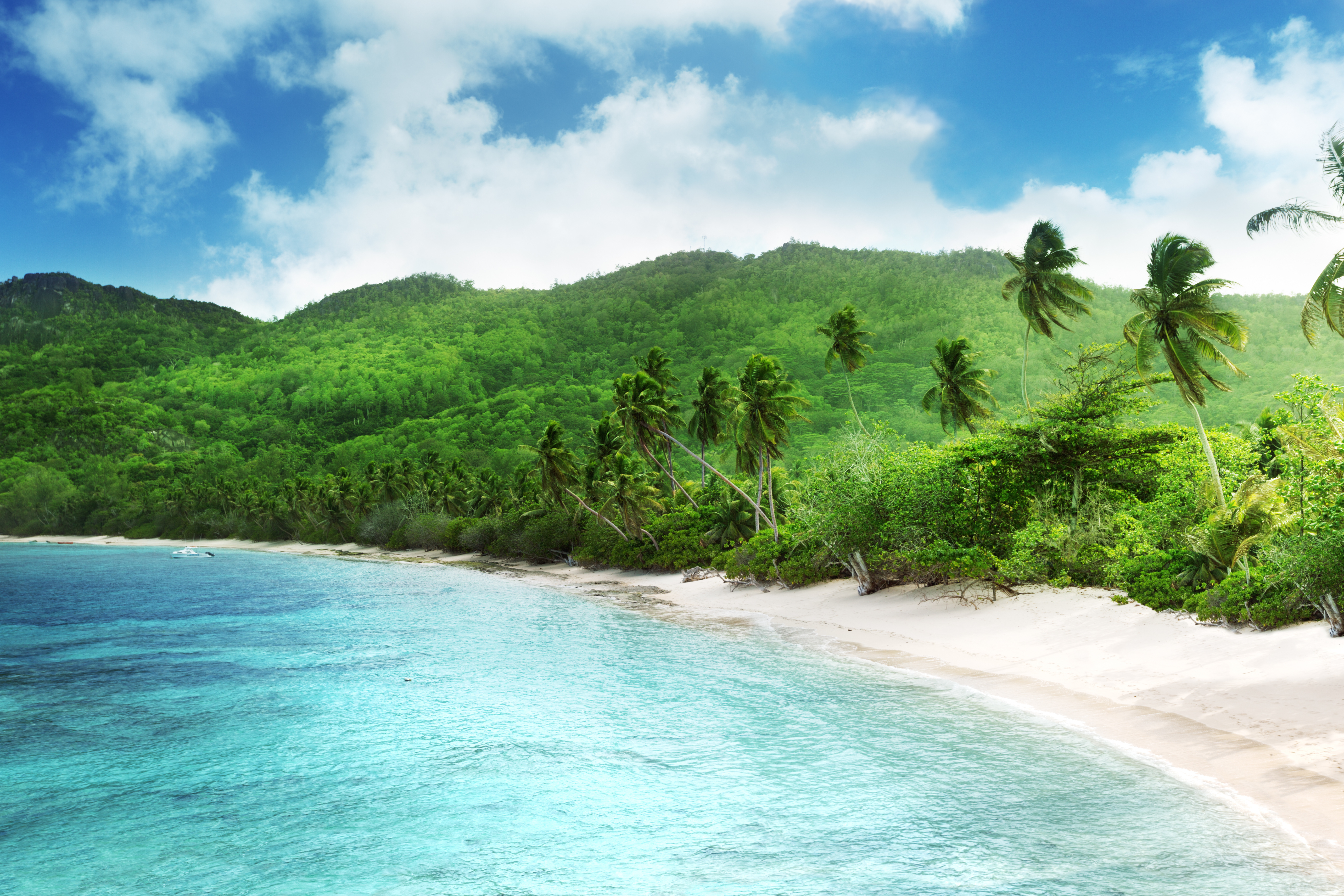 Экзотическая природа. Остров Кокос Сейшелы. Гавайи Ямайка. Остров Кокос Коста-Рика. Карибское море острова Карибского.