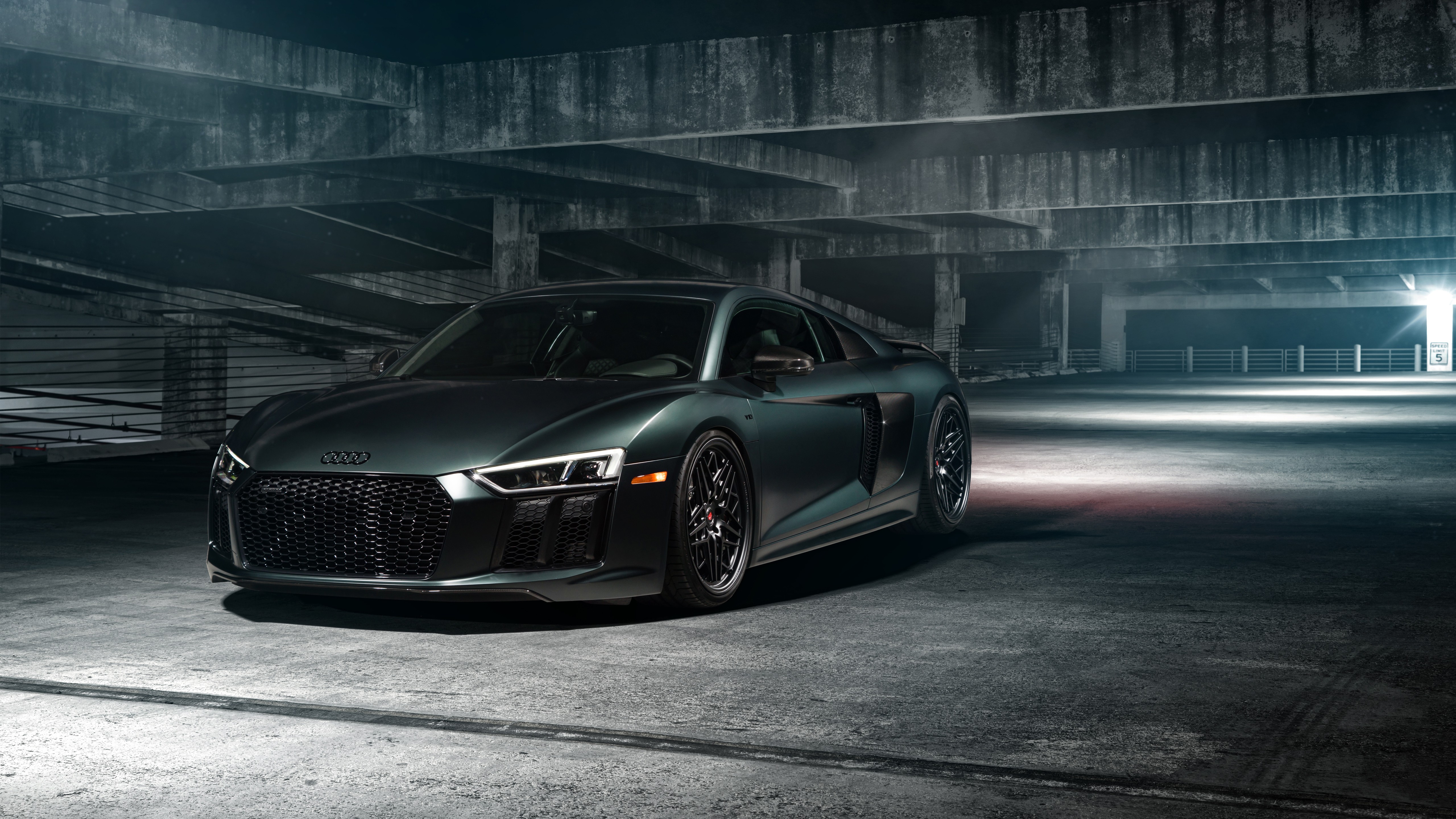 Felino cb7 С„РѕС‚Рѕ