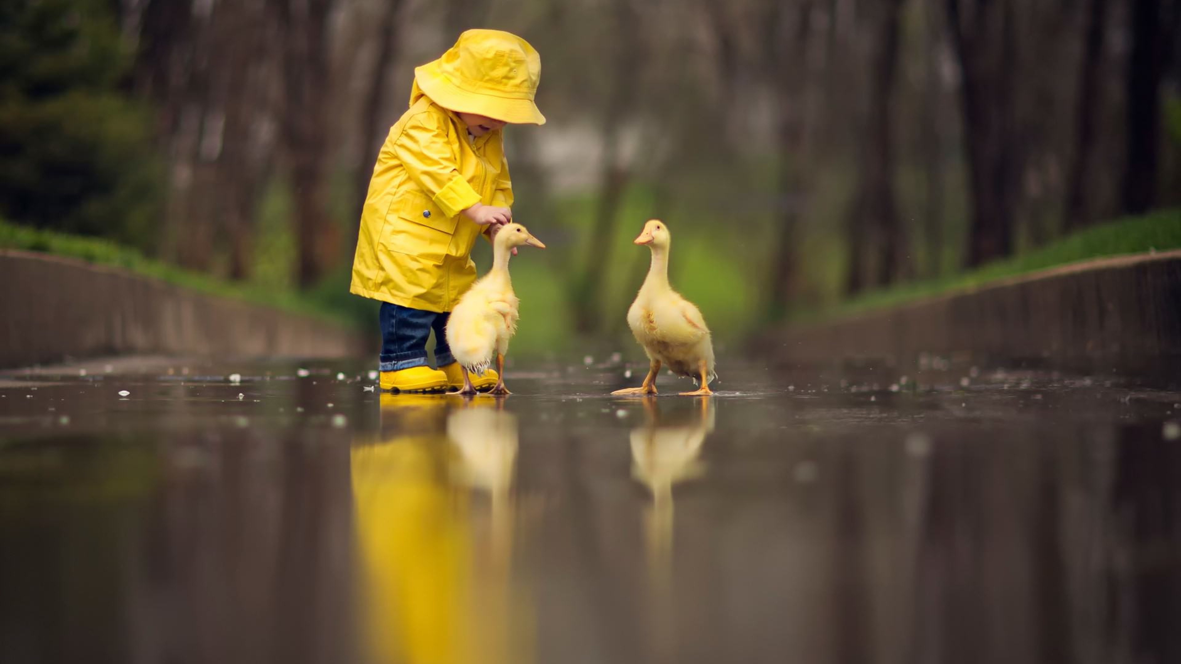 Rain animals. Ребёнок в жёлтом. Ребенок в белом дождевике. Девочка с утятами. Ребенок в желтом дождевике.
