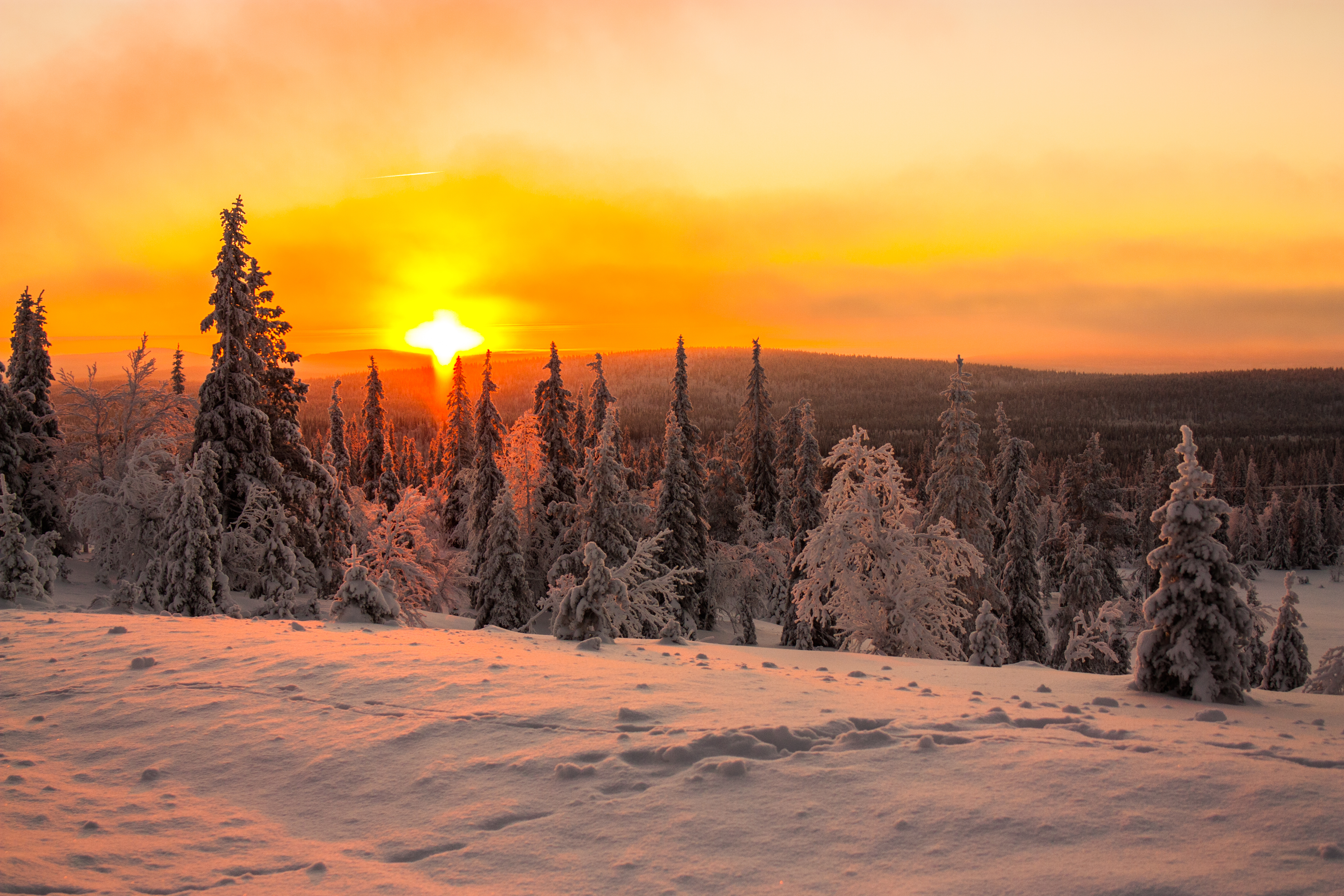 Солнце заходит зимой. Рассвет зимой. Зимний закат. Зимний пейзаж. Закат в зимнем лесу.