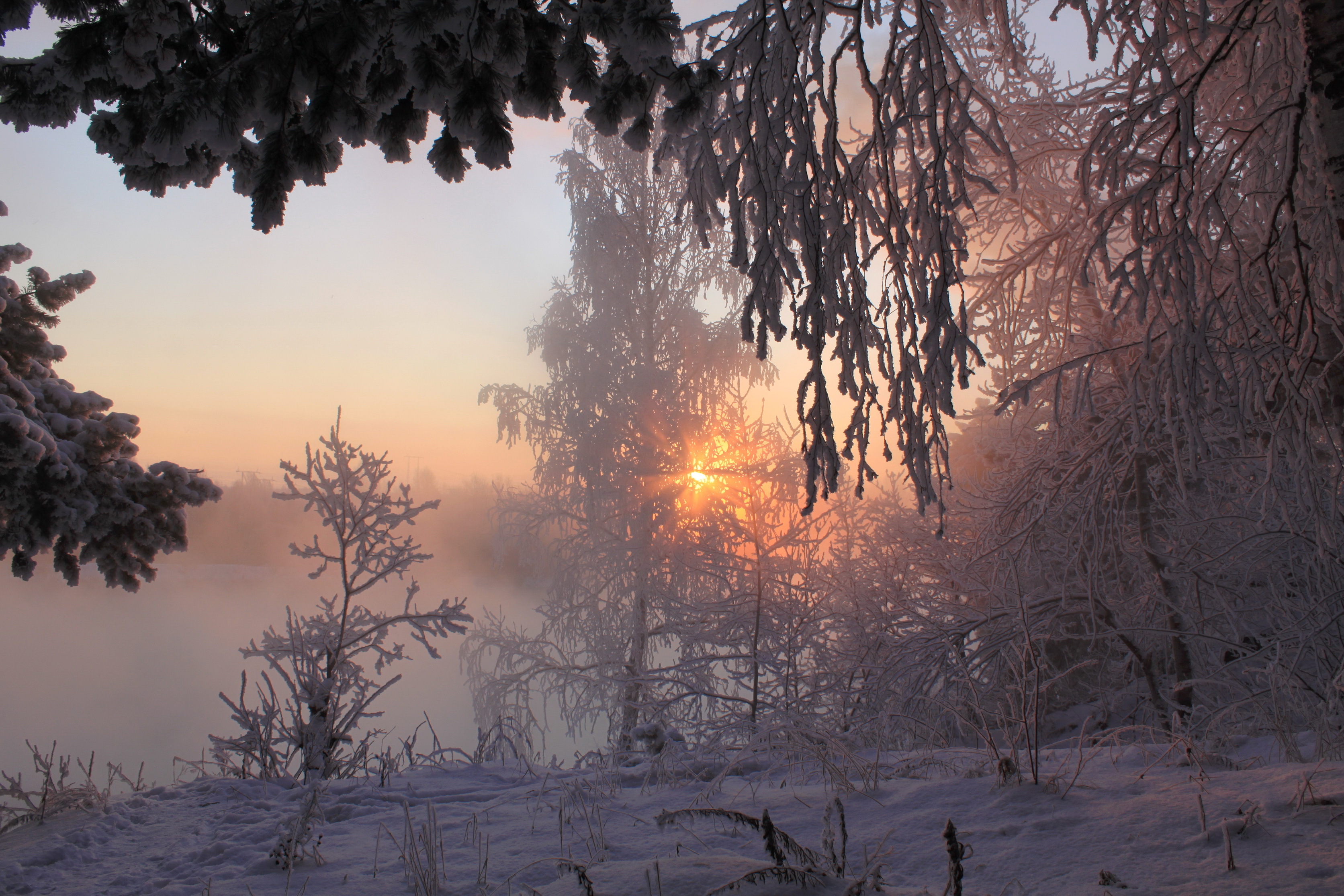 Snowy morning. Раннее утро зимой. Морозное утро в лесу. Зимний рассвет. Снежное утро.