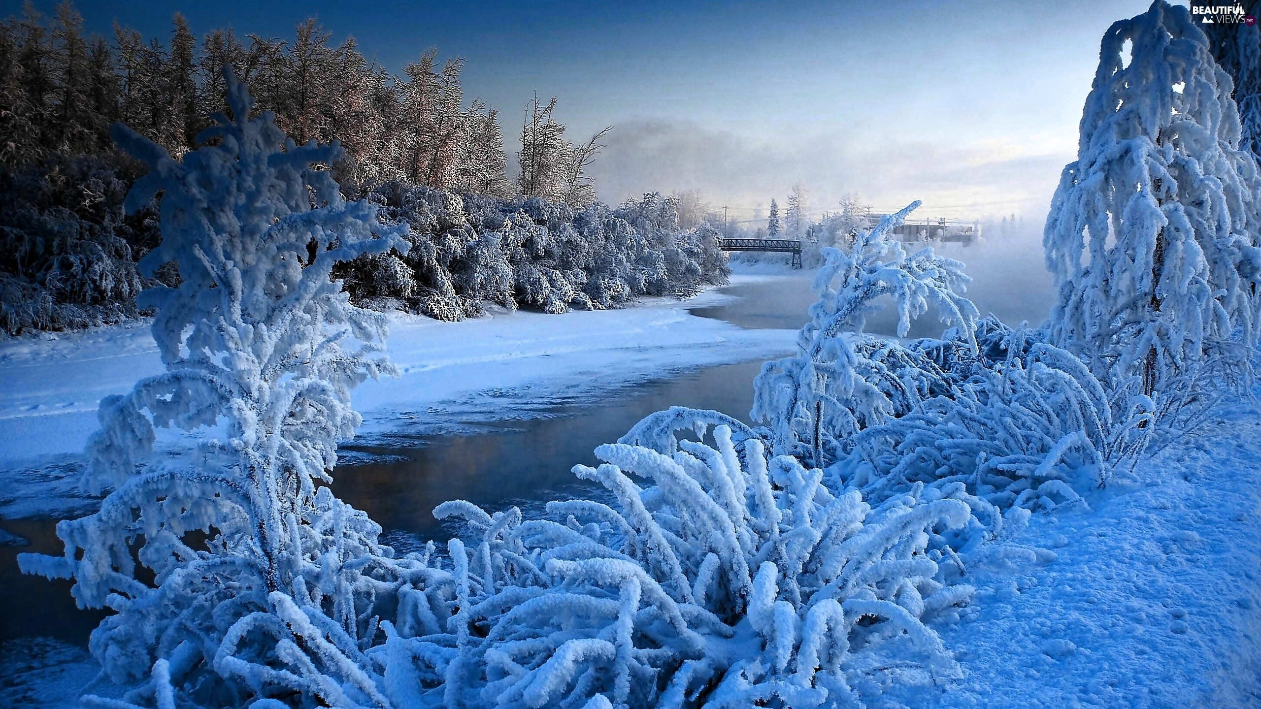 Снежная красота зимы