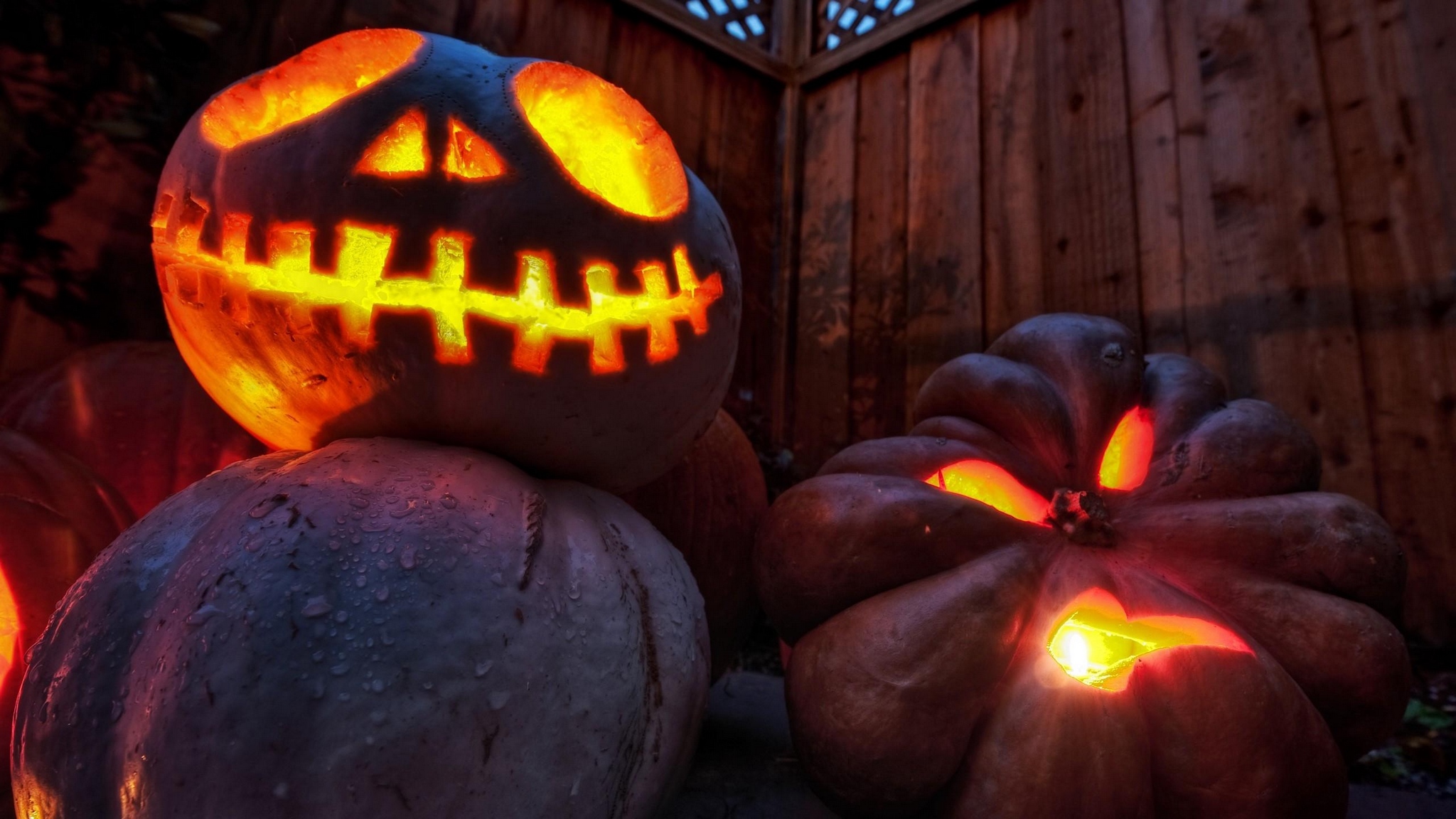 Обои Хэллоуин, тыква, калебас, зимний сквош, тыквенных - картинка на ...