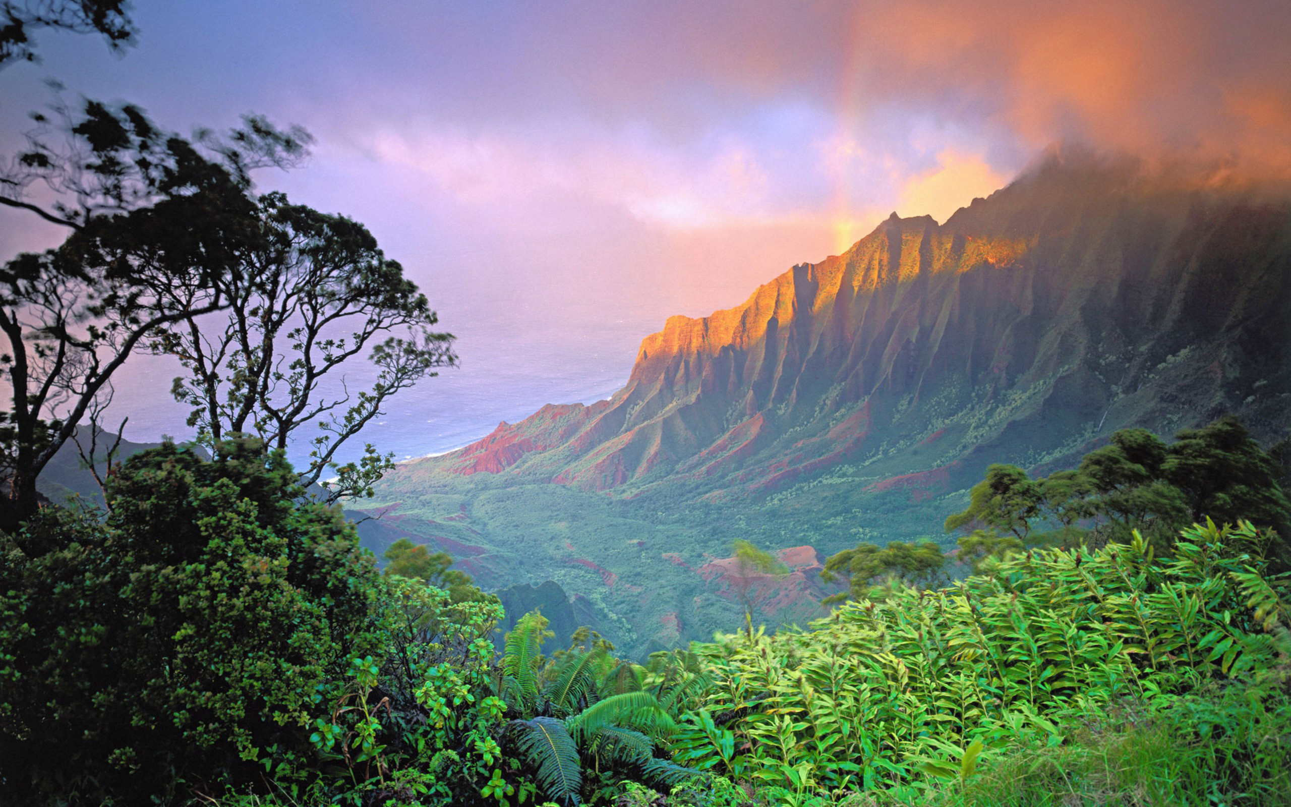 Рельеф природы южной америки. Остров Кауаи, Гавайские острова. Остров Оаху джунгли. Оаху Гавайи джунгли. Долина Калалау, Гавайи.