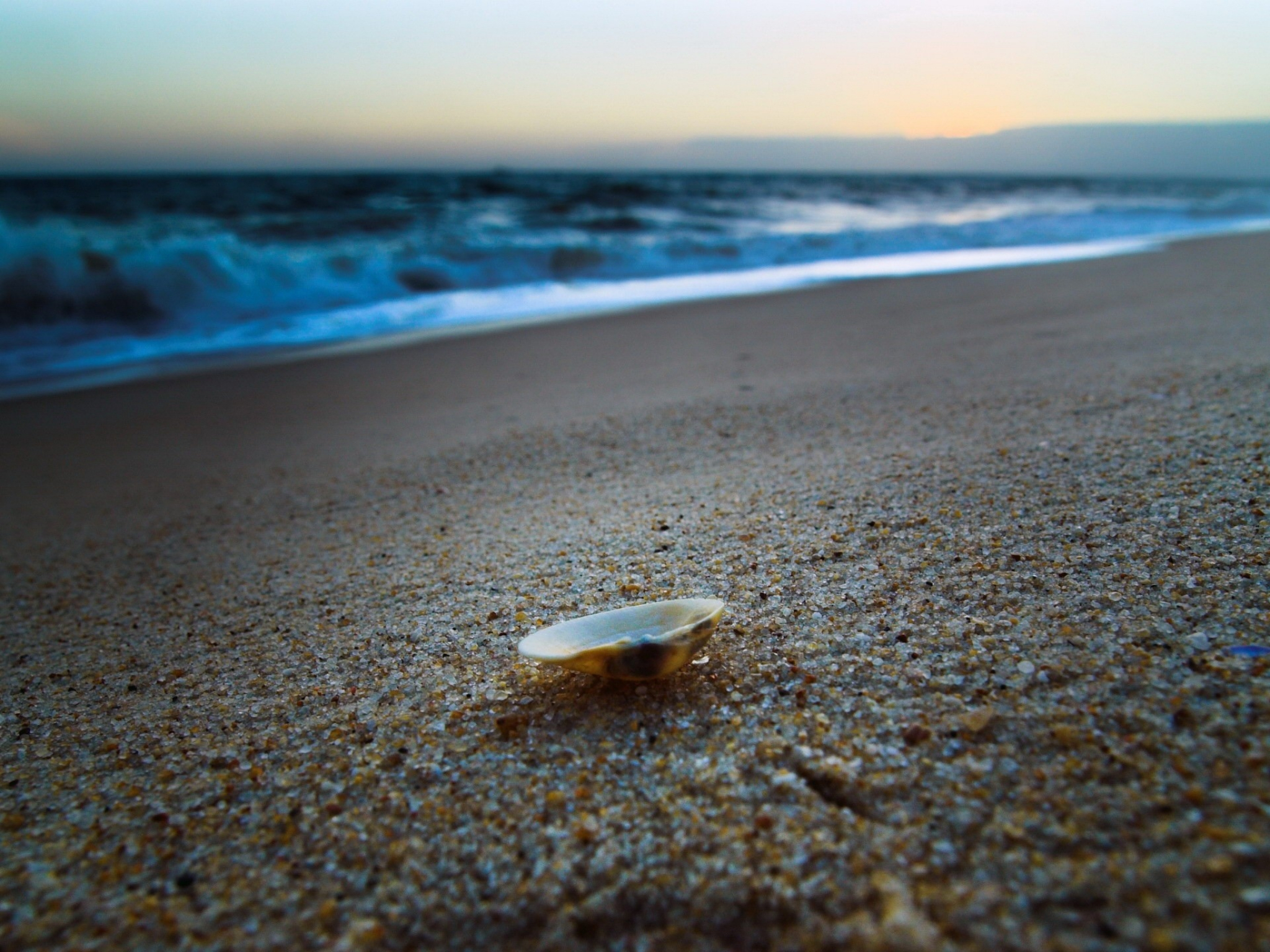 Маленькая песчинка. Море. Море пляж. Море песок. Ракушки на берегу моря.