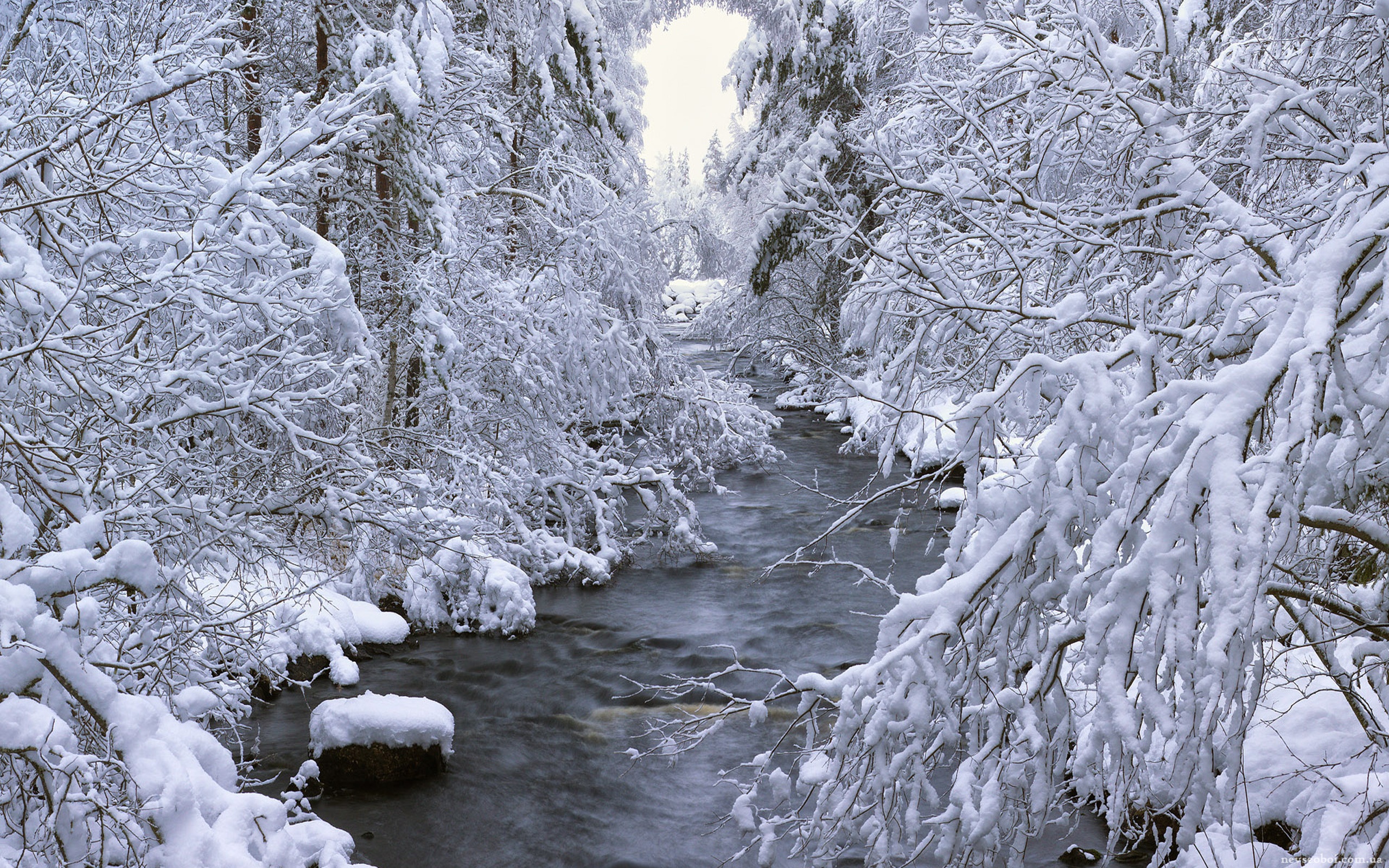 Звуки природы зимой. Зимняя река. Зимние картинки на рабочий стол. Река зимой. Зимний лес с речкой.
