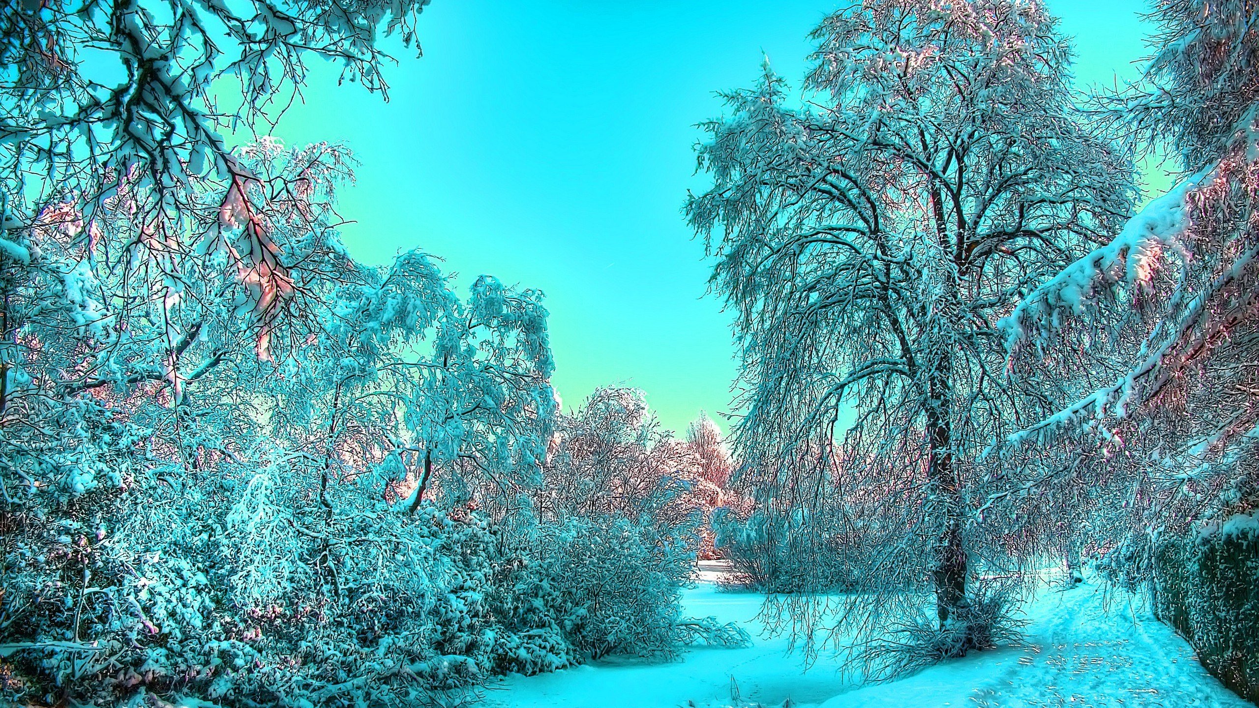 Заставка зимний пейзаж