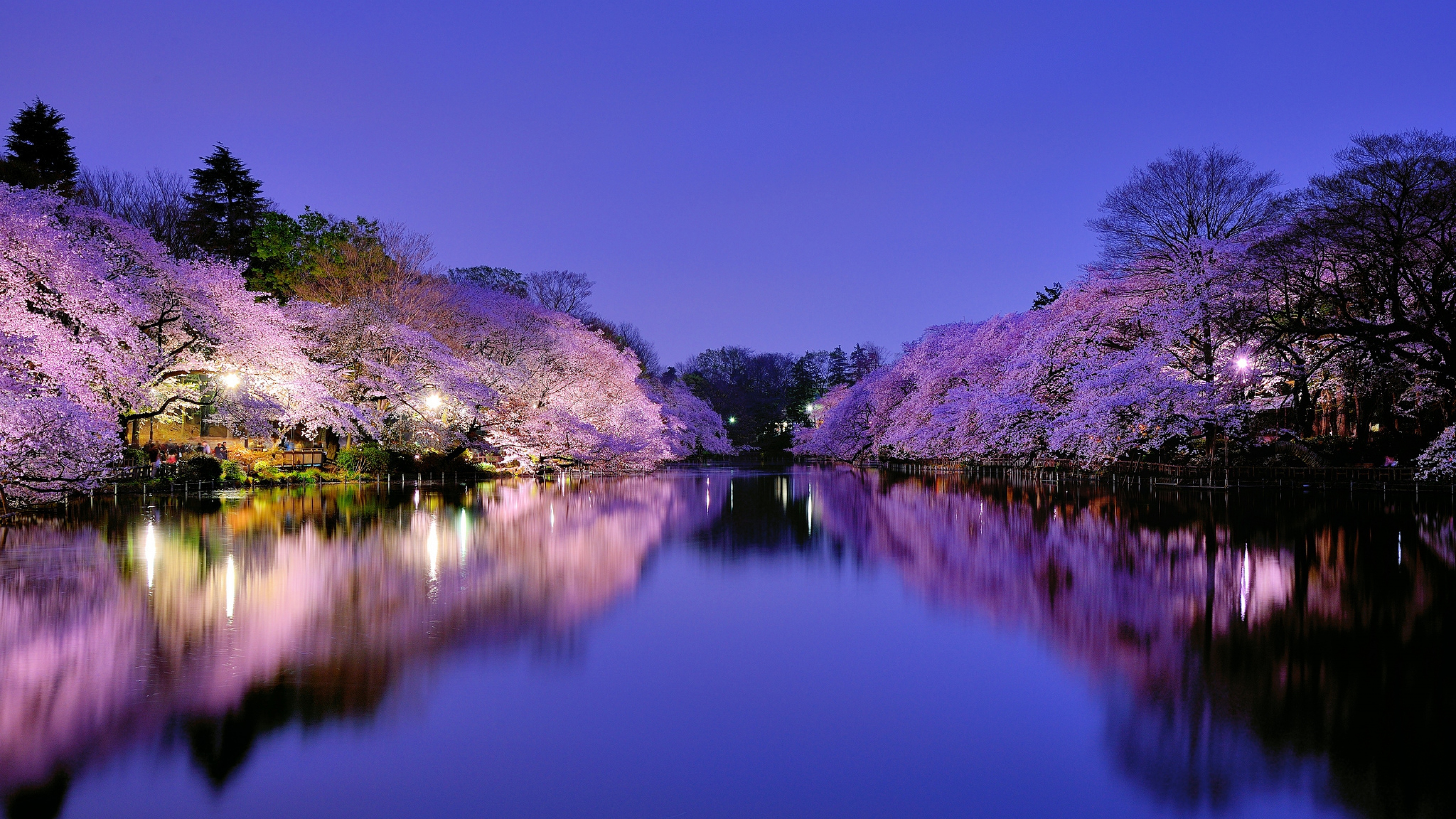 Красивые обои. Национальный Приморский парк Хитачи, Япония. Япония парки пруд Osaka. Япония озеро Сакура. Sakura валлпаперс.