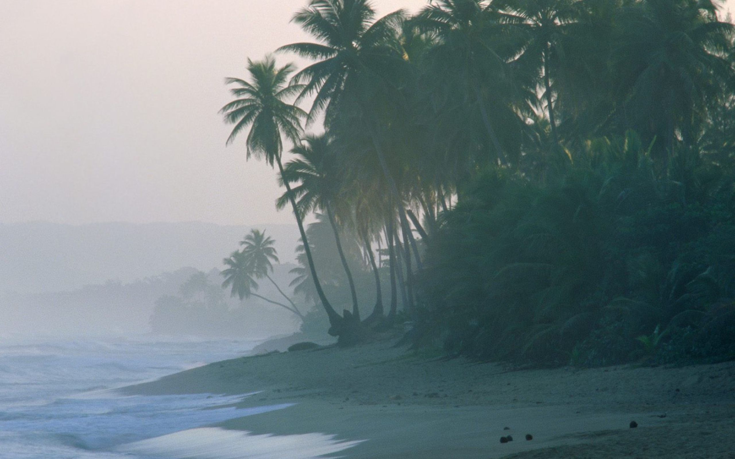 Rain beach. Индийский океан Гоа. Тропики Пуэрто Рико. Пуэрто Рико природа. Пуэрто Рико климат.