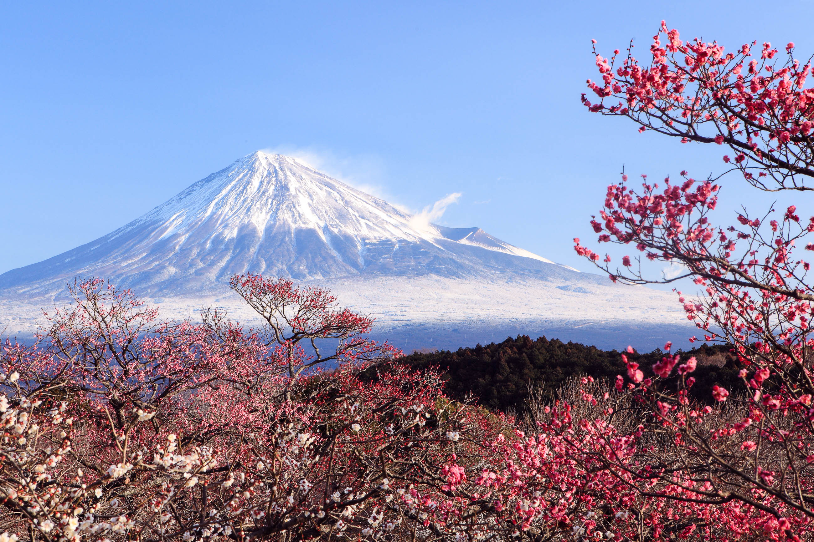 Милая хоккайдо я тебя хонсю. Киото гора Фудзияма. Гора Фудзи (остров Хонсю). Киото Фудзияма Хиросима. Горы Хаконе Япония.