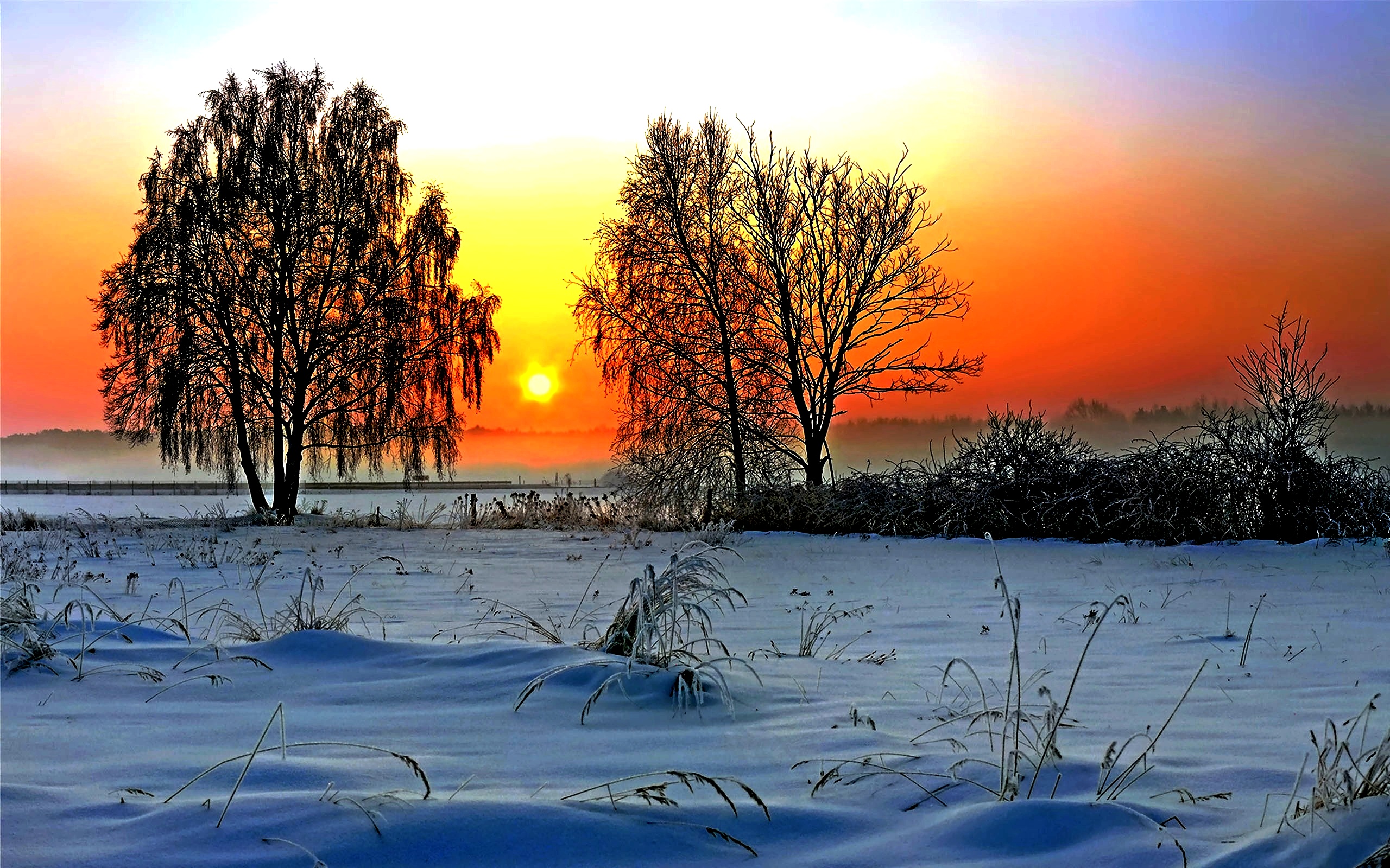 Утро в Сибири зимой