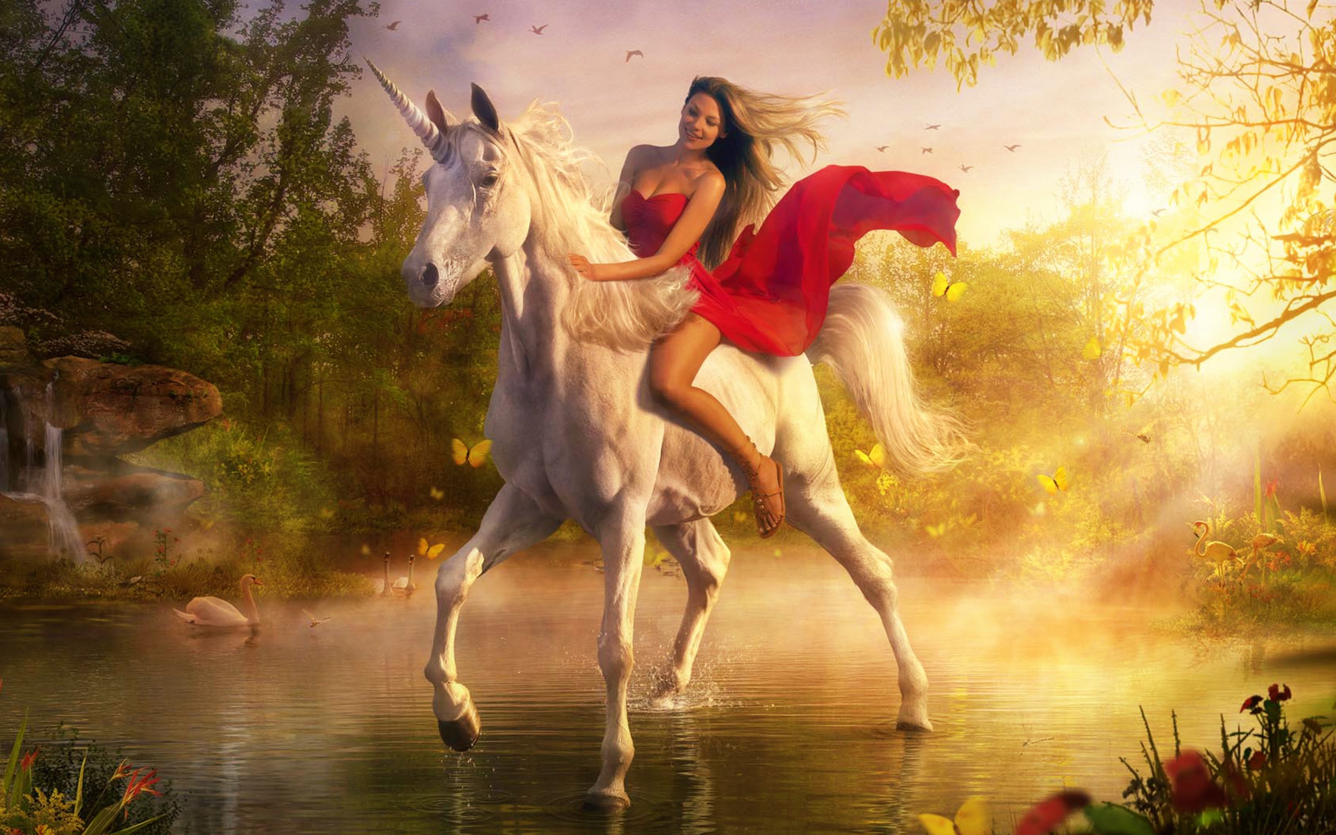 Horse Screwing Women