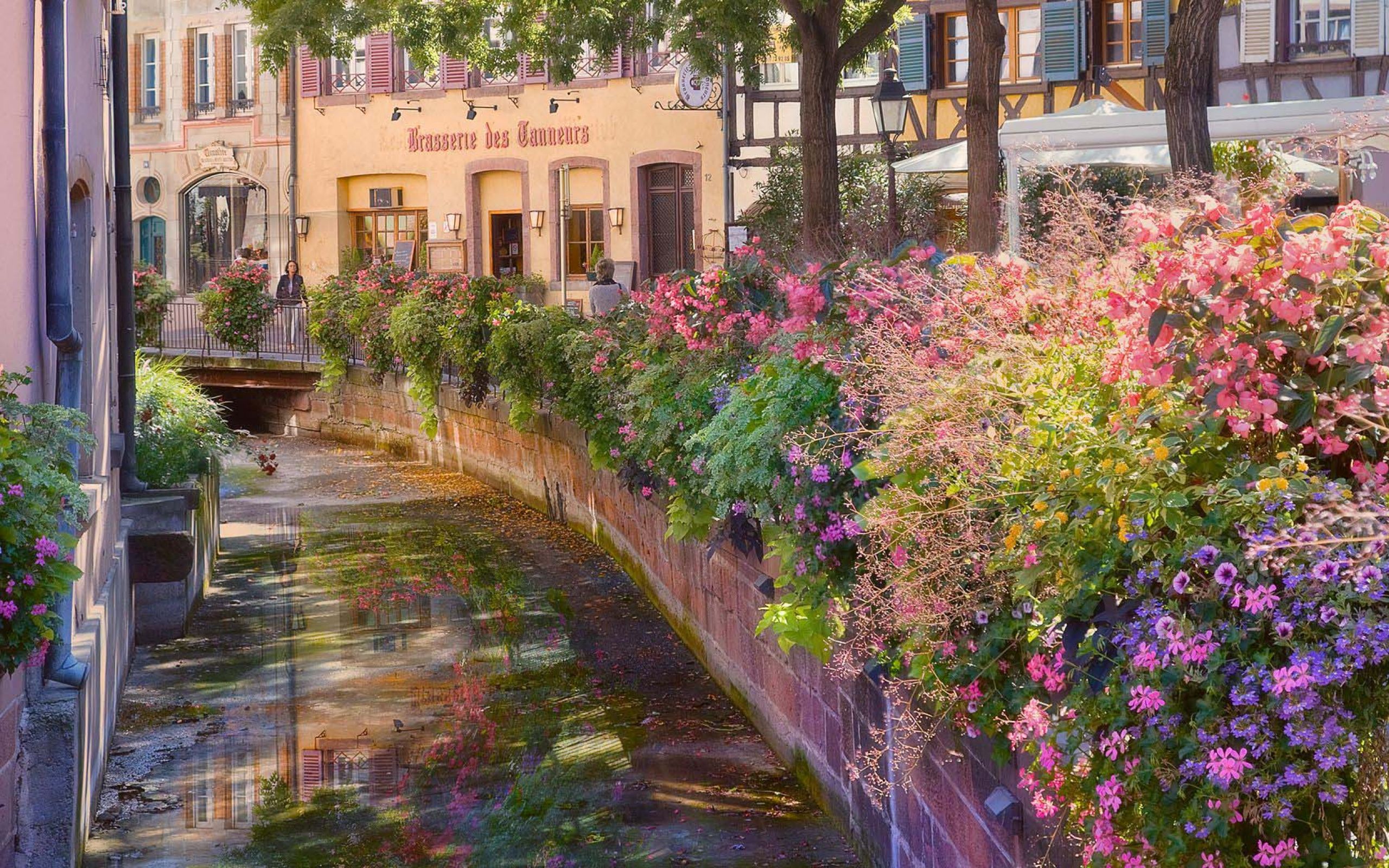 Сады венеции