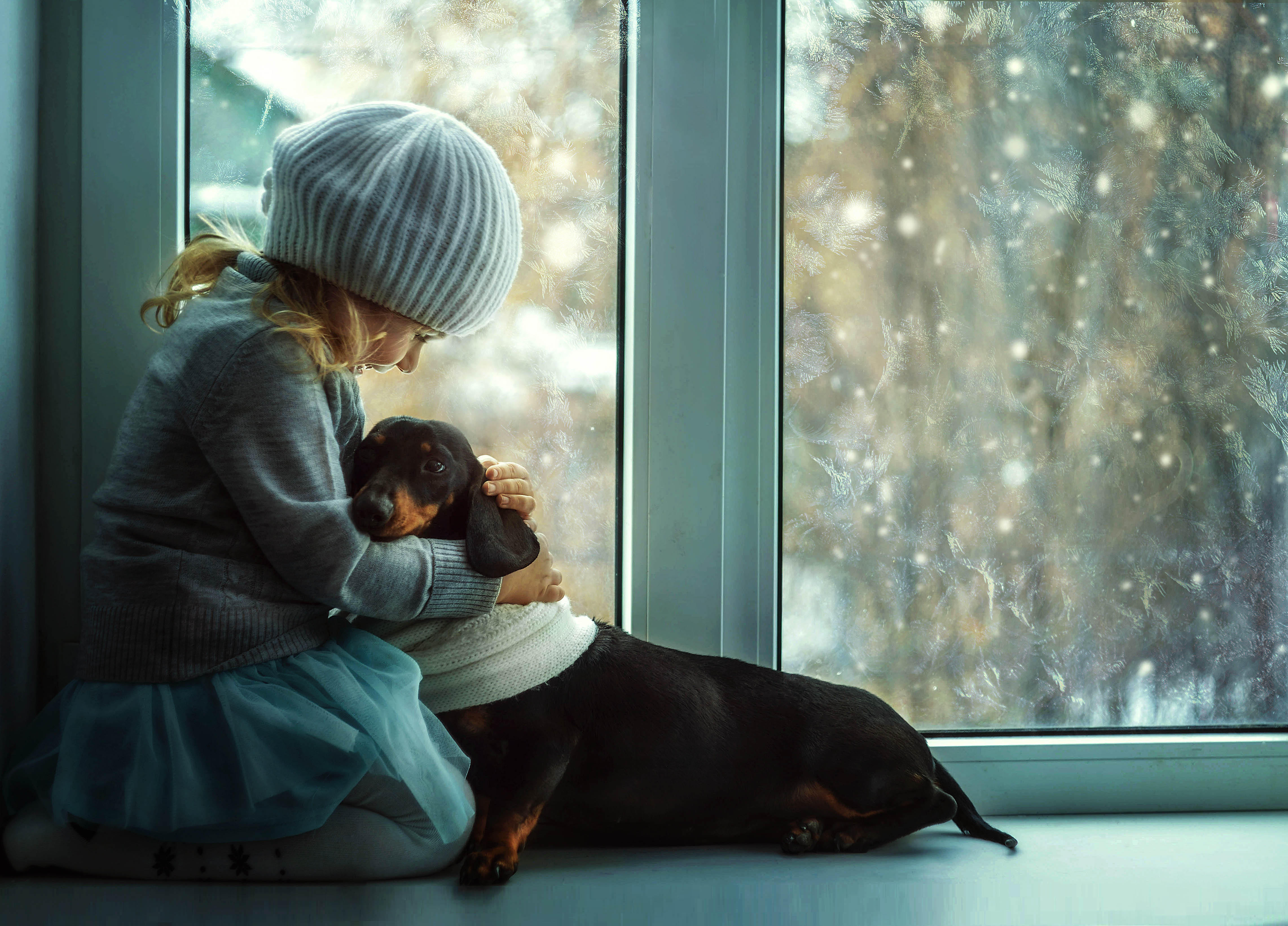 Девочка с собакой у окна