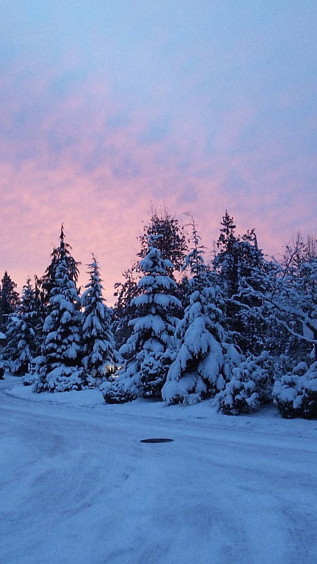 Обои снег, зима, дерево, синий, природа в разрешении 1080x1920