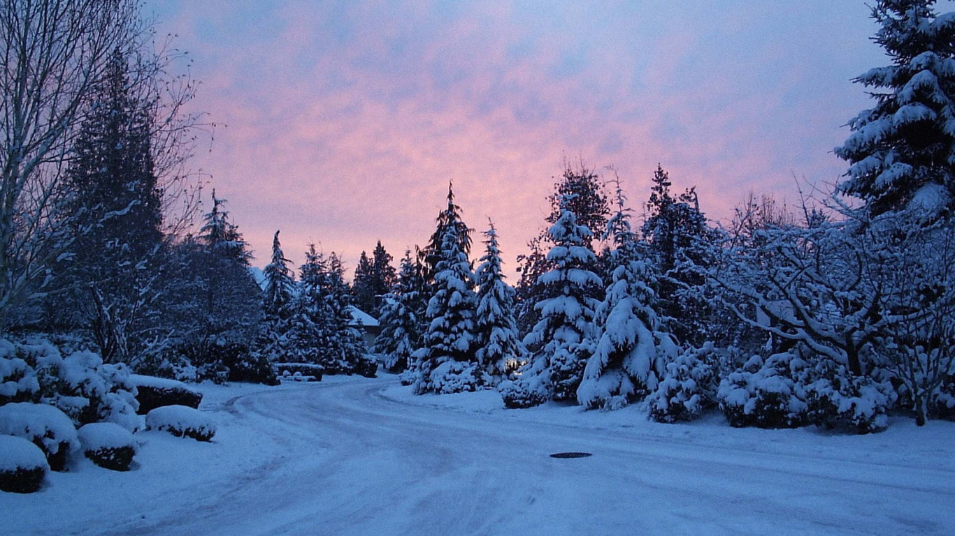 Обои снег, зима, дерево, синий, природа в разрешении 1366x768