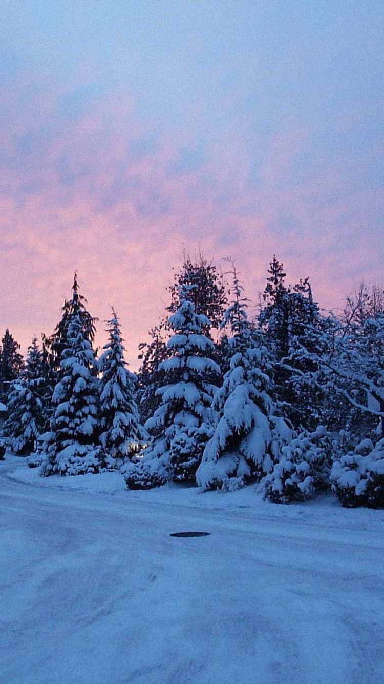 Обои снег, зима, дерево, синий, природа в разрешении 750x1334