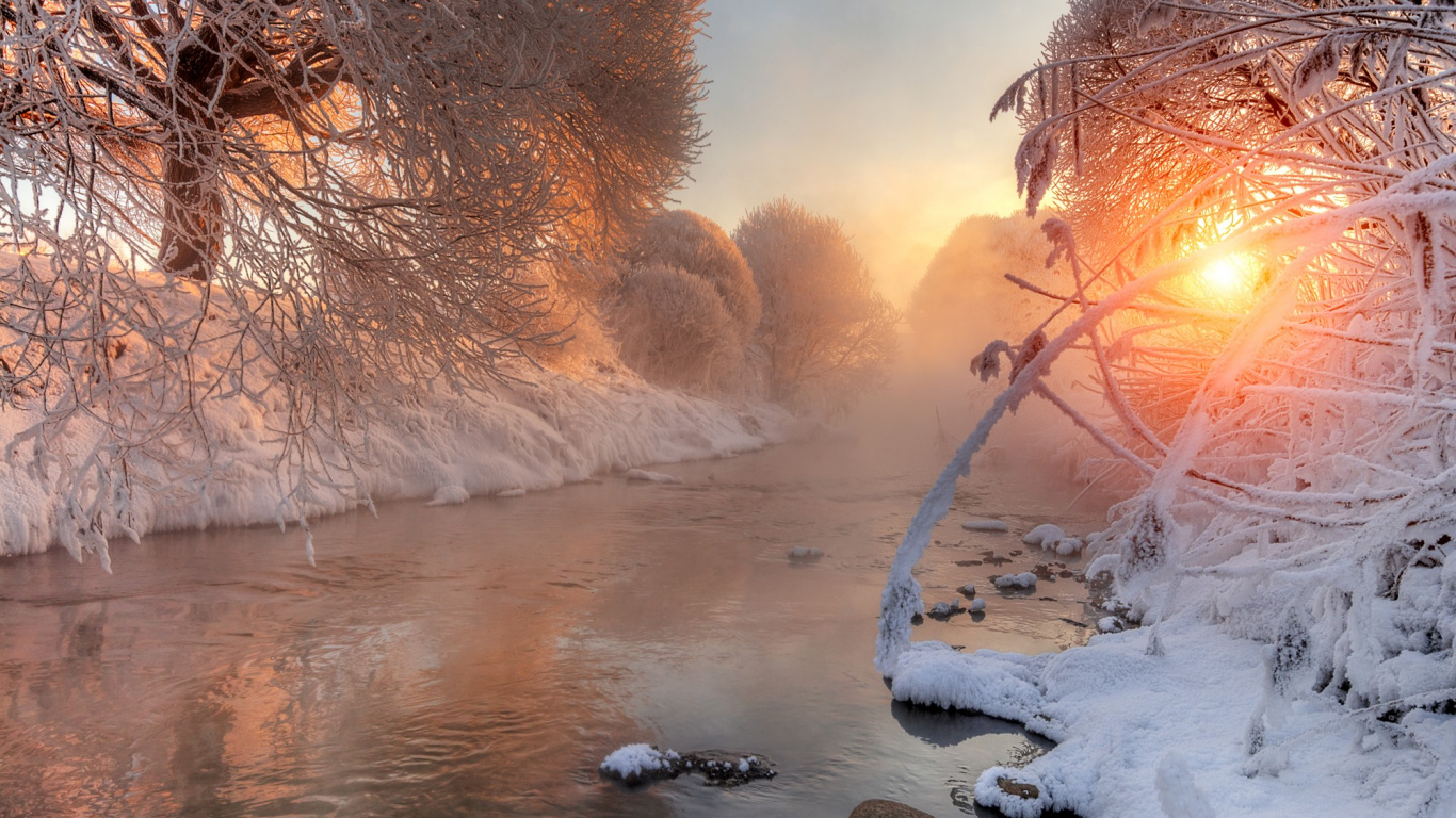 Обои мороз, снег, зима, замораживание, утро в разрешении 1366x768