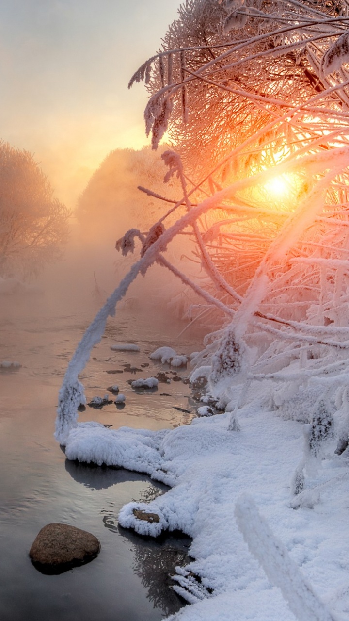 Обои мороз, снег, зима, замораживание, утро в разрешении 720x1280