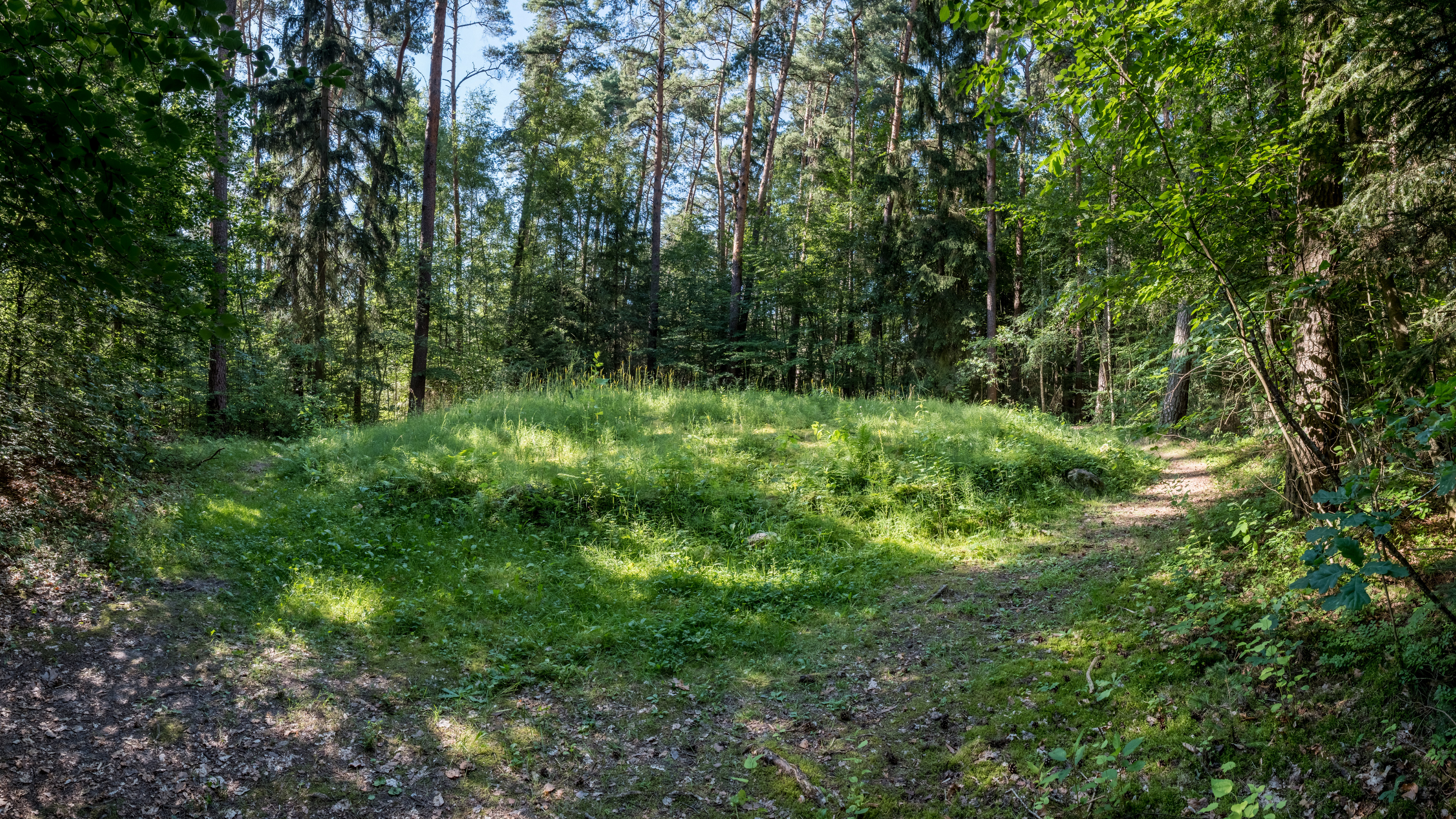 Обои растительность, природа, окружающая среда, природный ландшафт, растительное сообщество в разрешении 3840x2160