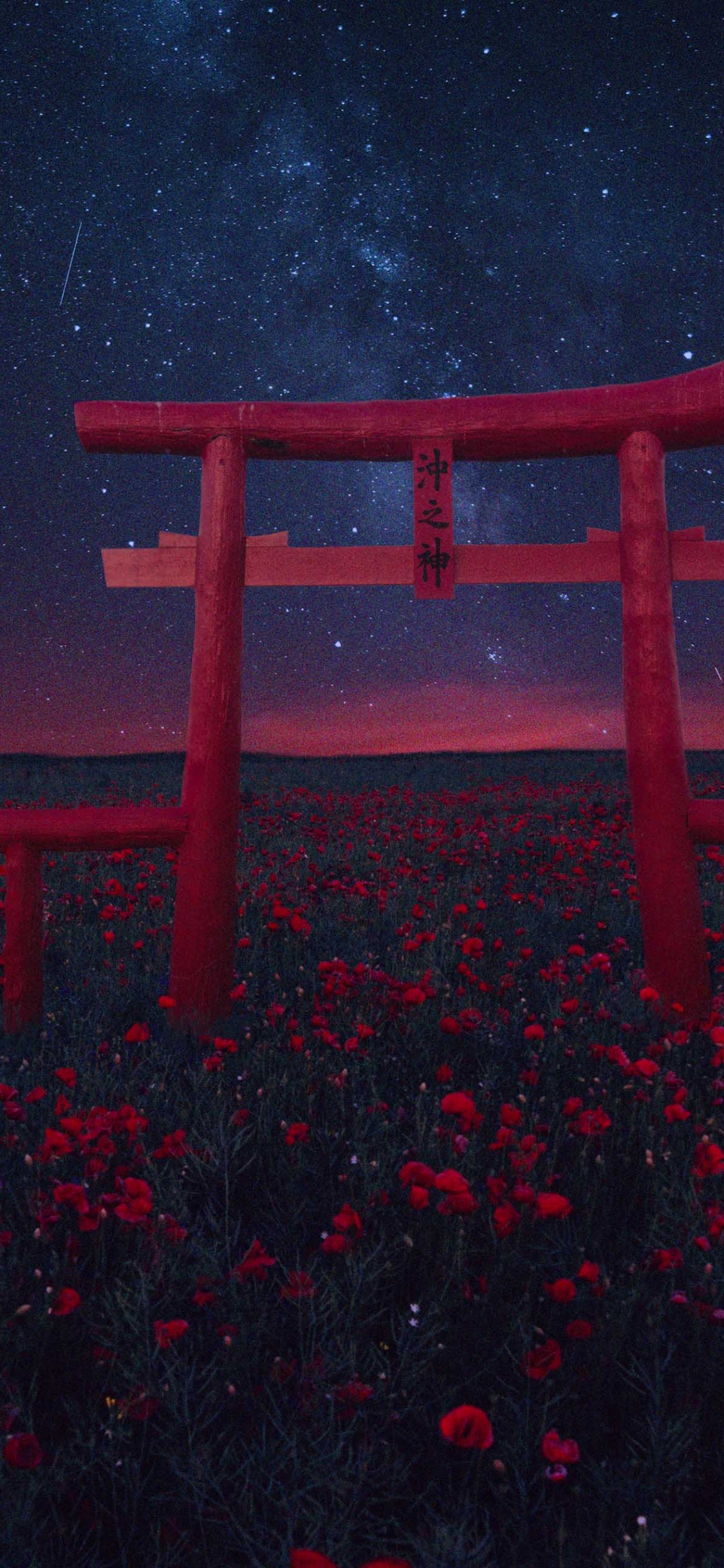 Обои атмосфера, растение, вода, цветок, тории в разрешении 1125x2436