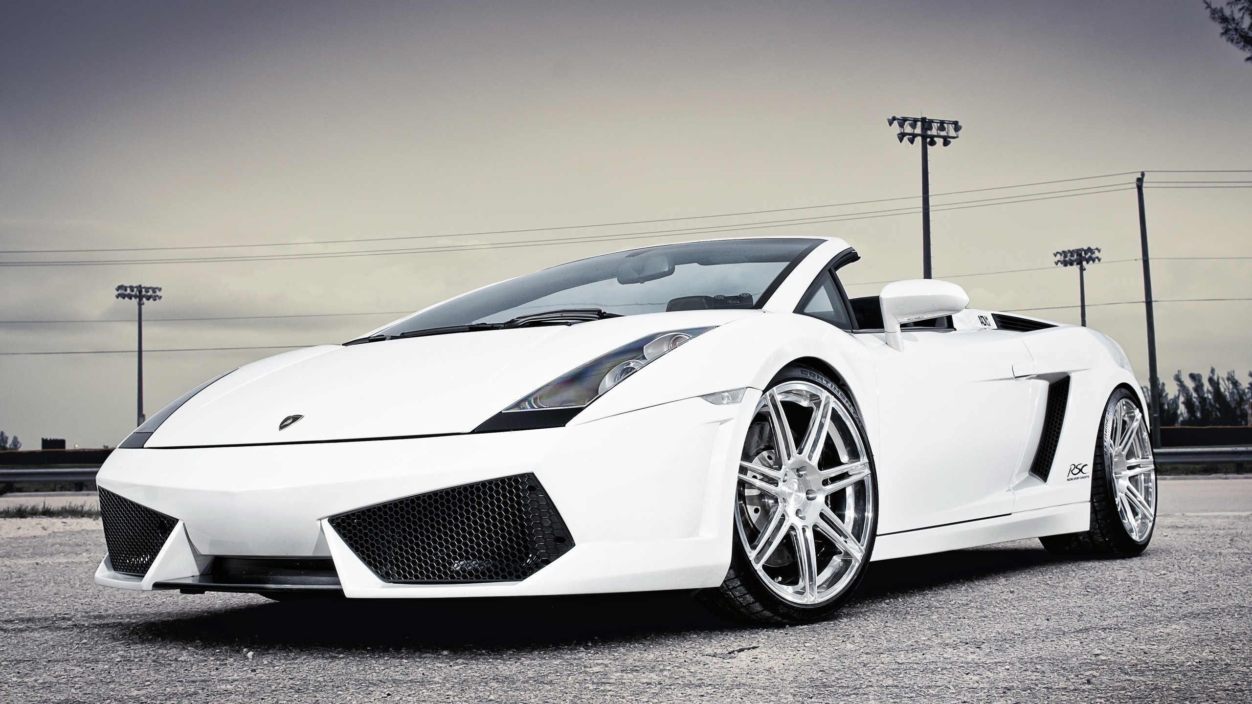 Обои lamborghini gallardo, Ламборджини, lamborghini уракан, суперкар, белые в разрешении 2560x1440