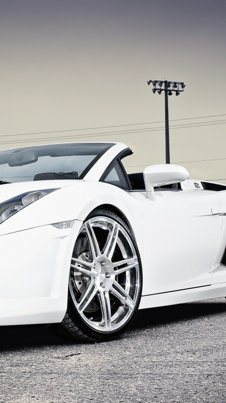 Обои lamborghini gallardo, Ламборджини, lamborghini уракан, суперкар, белые в разрешении 750x1334
