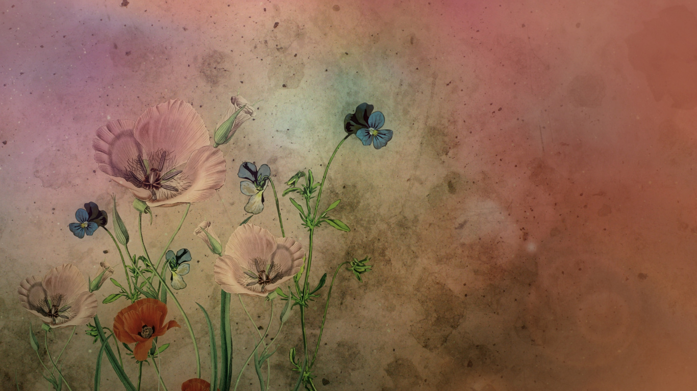 Обои цветок, акварельные краски, арт, визуальное искусство, живопись в разрешении 1366x768