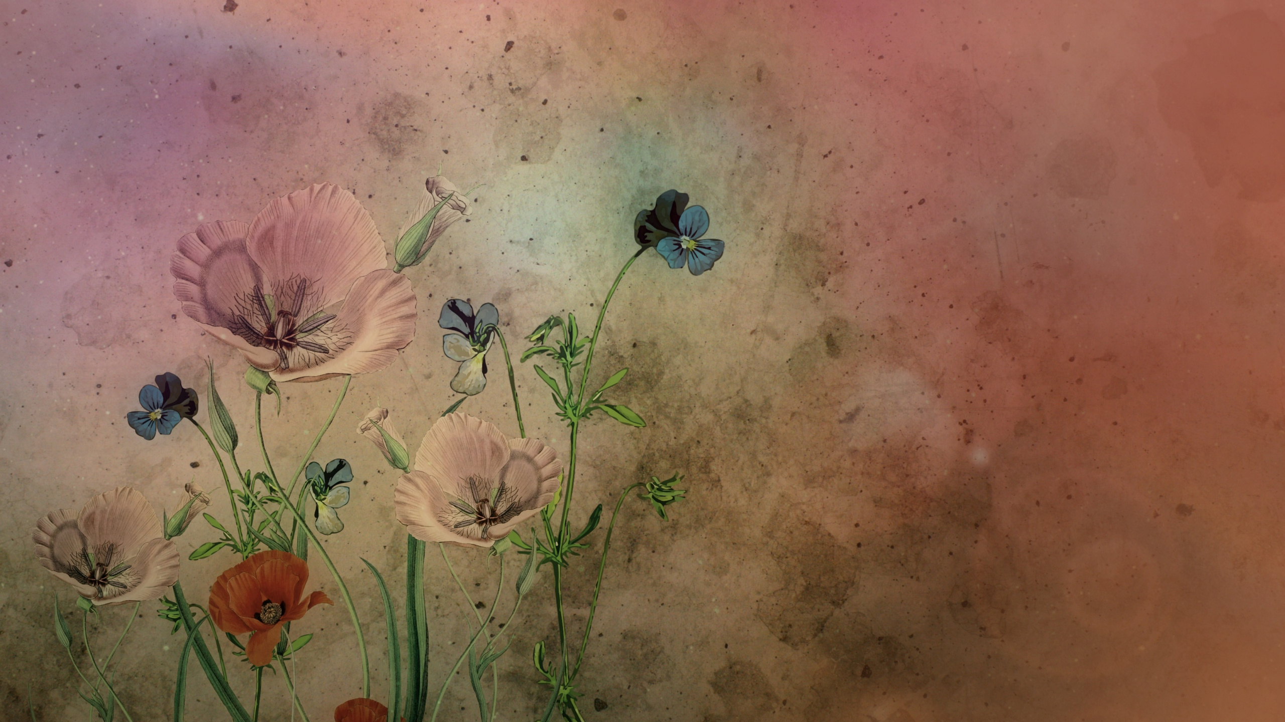 Обои цветок, акварельные краски, арт, визуальное искусство, живопись в разрешении 2560x1440