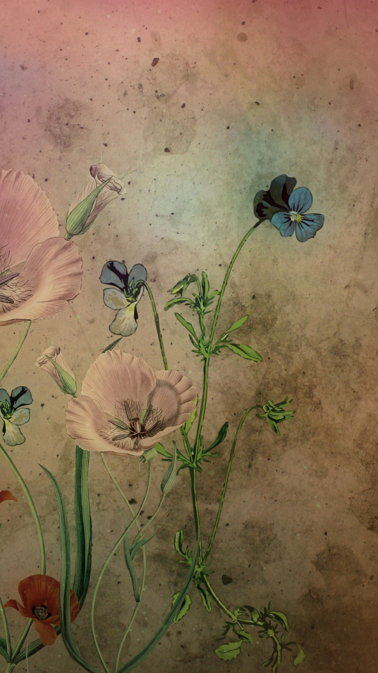 Обои цветок, акварельные краски, арт, визуальное искусство, живопись в разрешении 750x1334