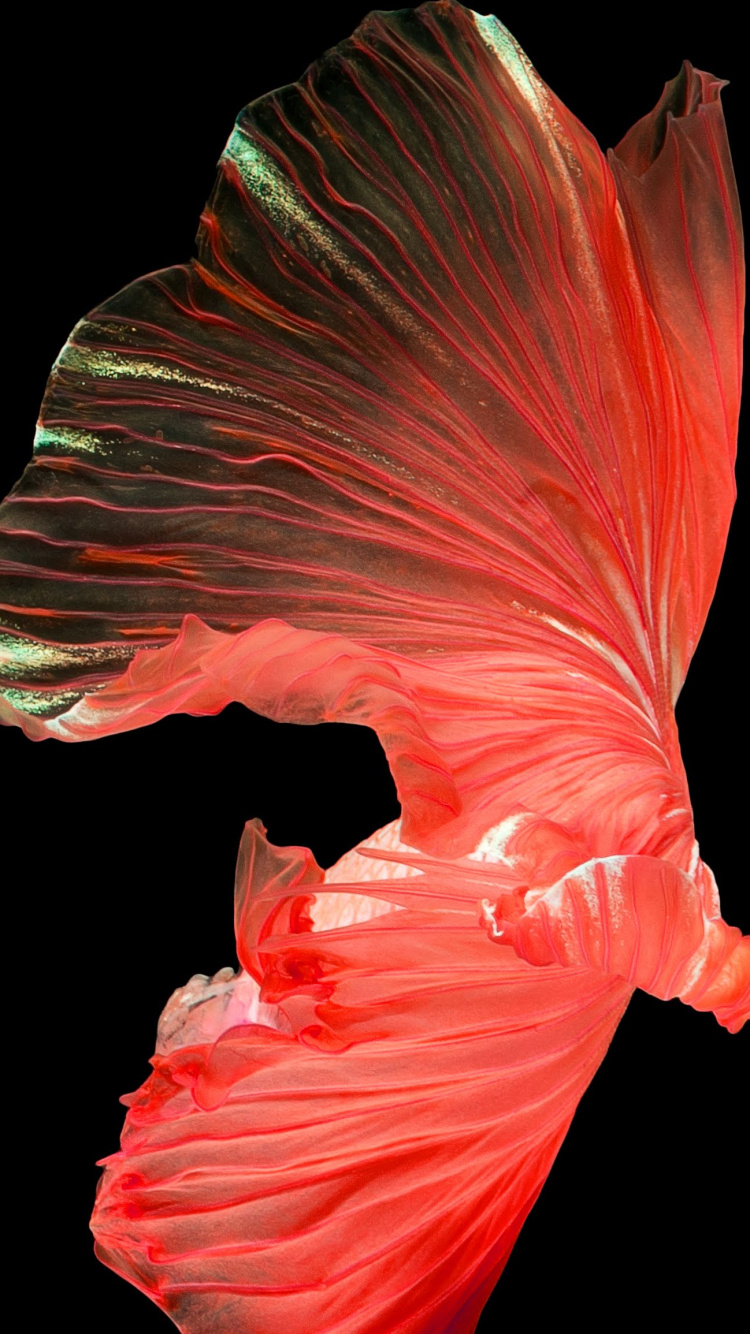 Обои Huawei, Huawei Nova, Huawei Nova 4, смартфон, huawei nova 4e в разрешении 750x1334