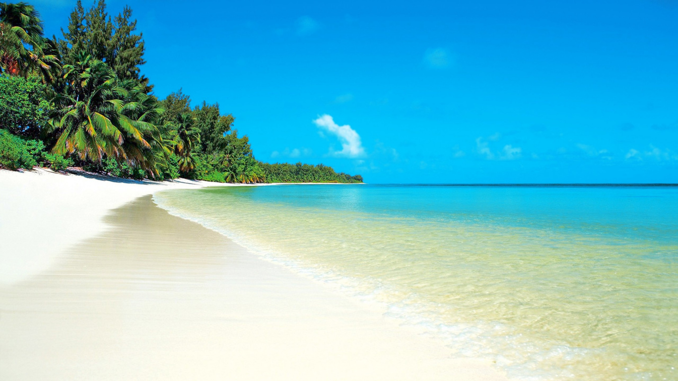 Обои пляж, море, водоем, тропическая зона, берег в разрешении 1366x768