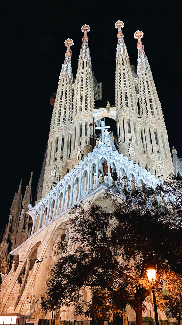 Обои Барселона, ориентир, туризм, достопримечательность, дерево в разрешении 750x1334