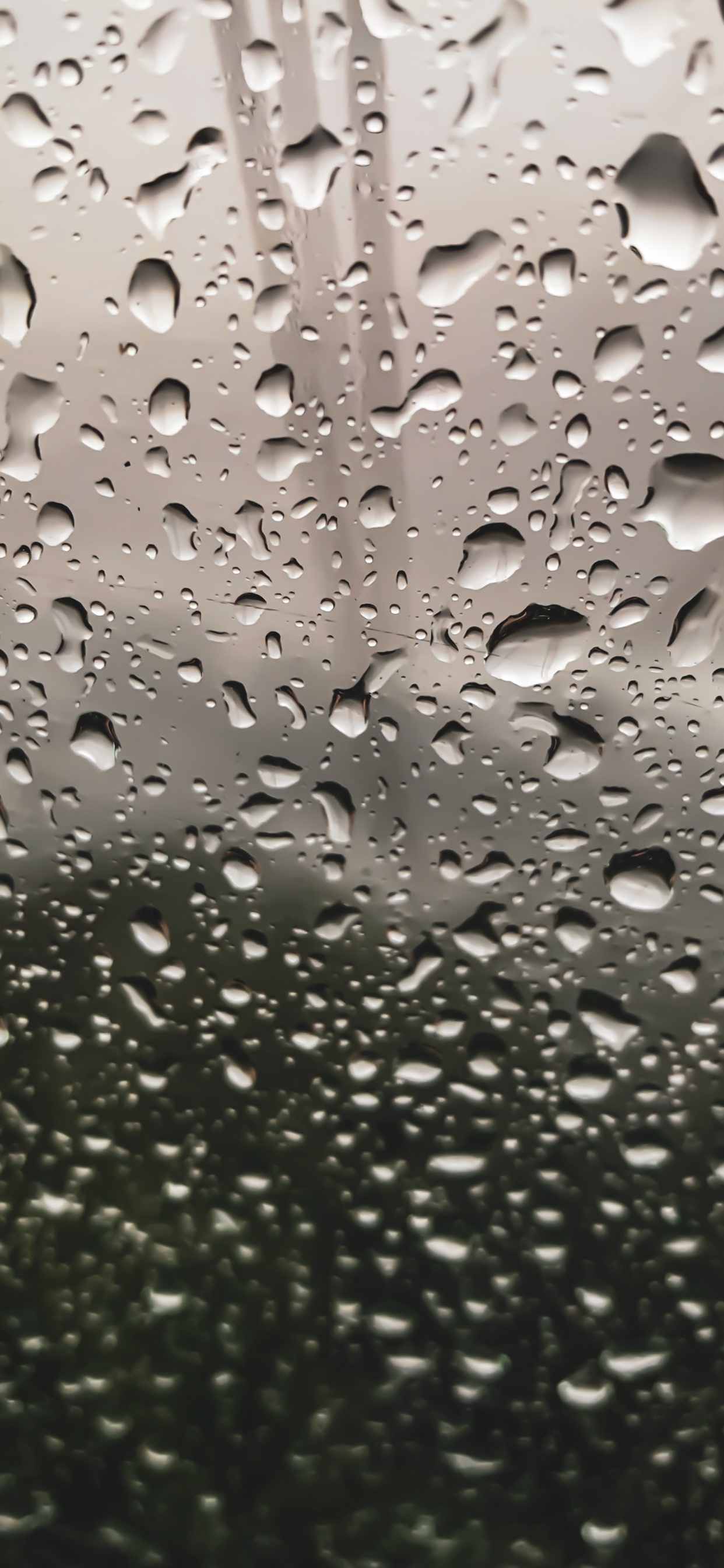 Обои падение, дождь, роса, вода, мелкий дождь в разрешении 1242x2688