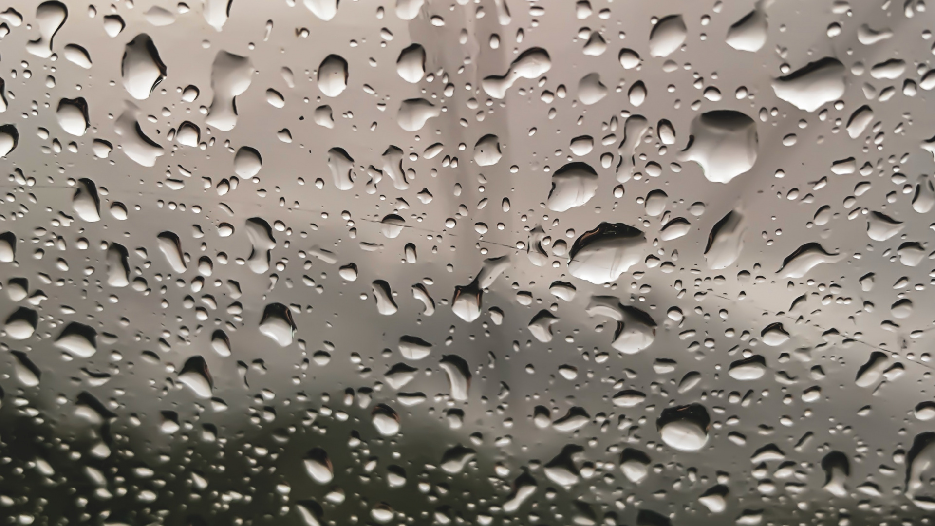 Обои падение, дождь, роса, вода, мелкий дождь в разрешении 1920x1080