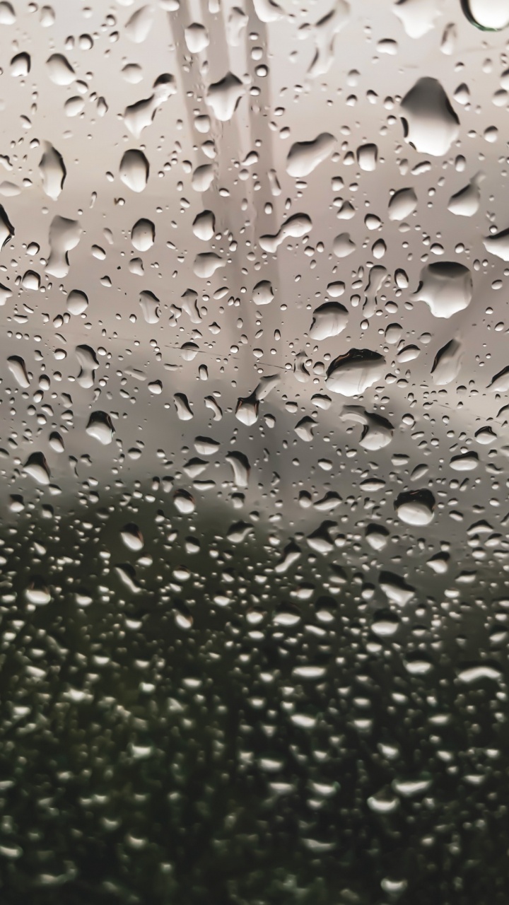 Обои падение, дождь, роса, вода, мелкий дождь в разрешении 720x1280