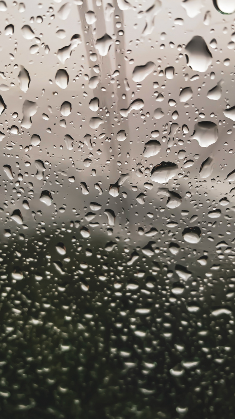 Обои падение, дождь, роса, вода, мелкий дождь в разрешении 750x1334