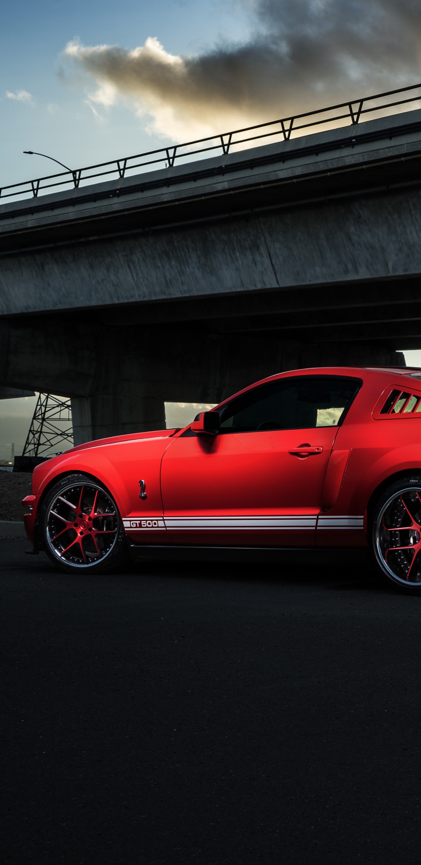 Обои Mustang Sheley, Шелби Мустанг, ford, Форд Мустанг, легковые автомобили в разрешении 1440x2960